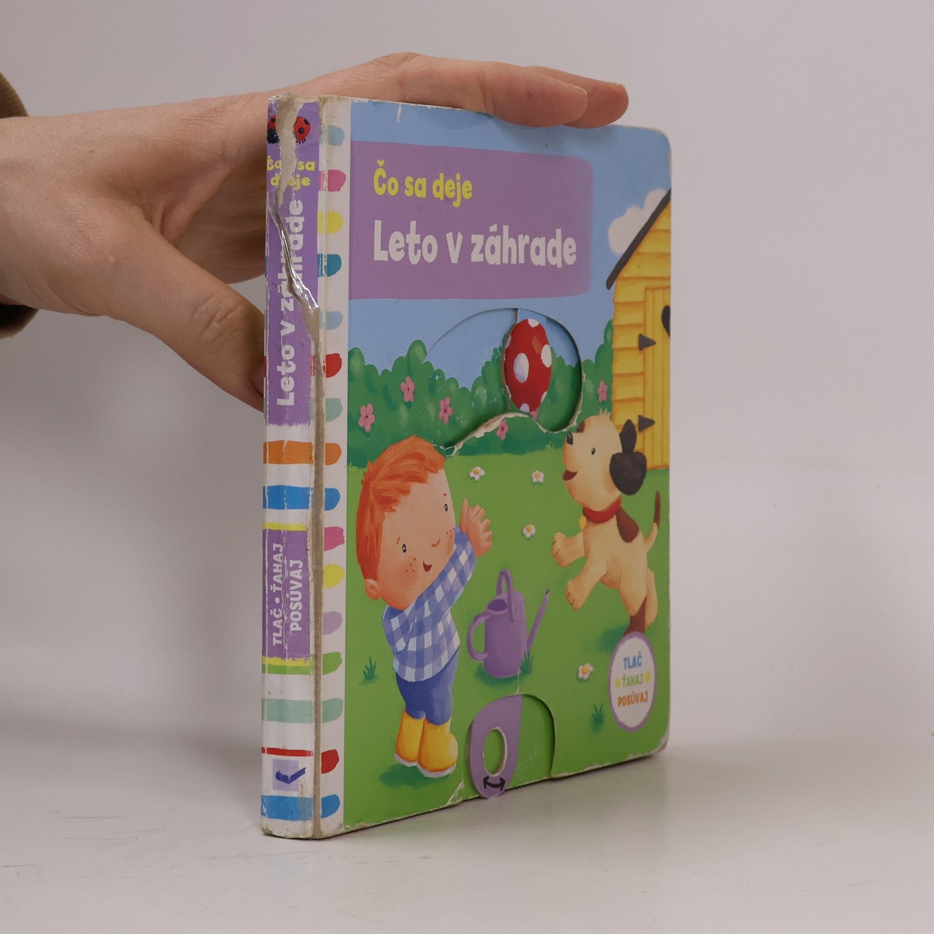 Auteurscollectief Čo sa deje : Leto v záhrade