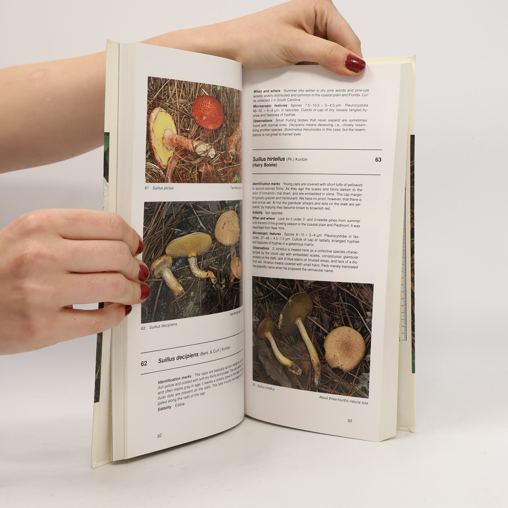 Nancy Smith Weber A Field Guide to Southern Mushrooms