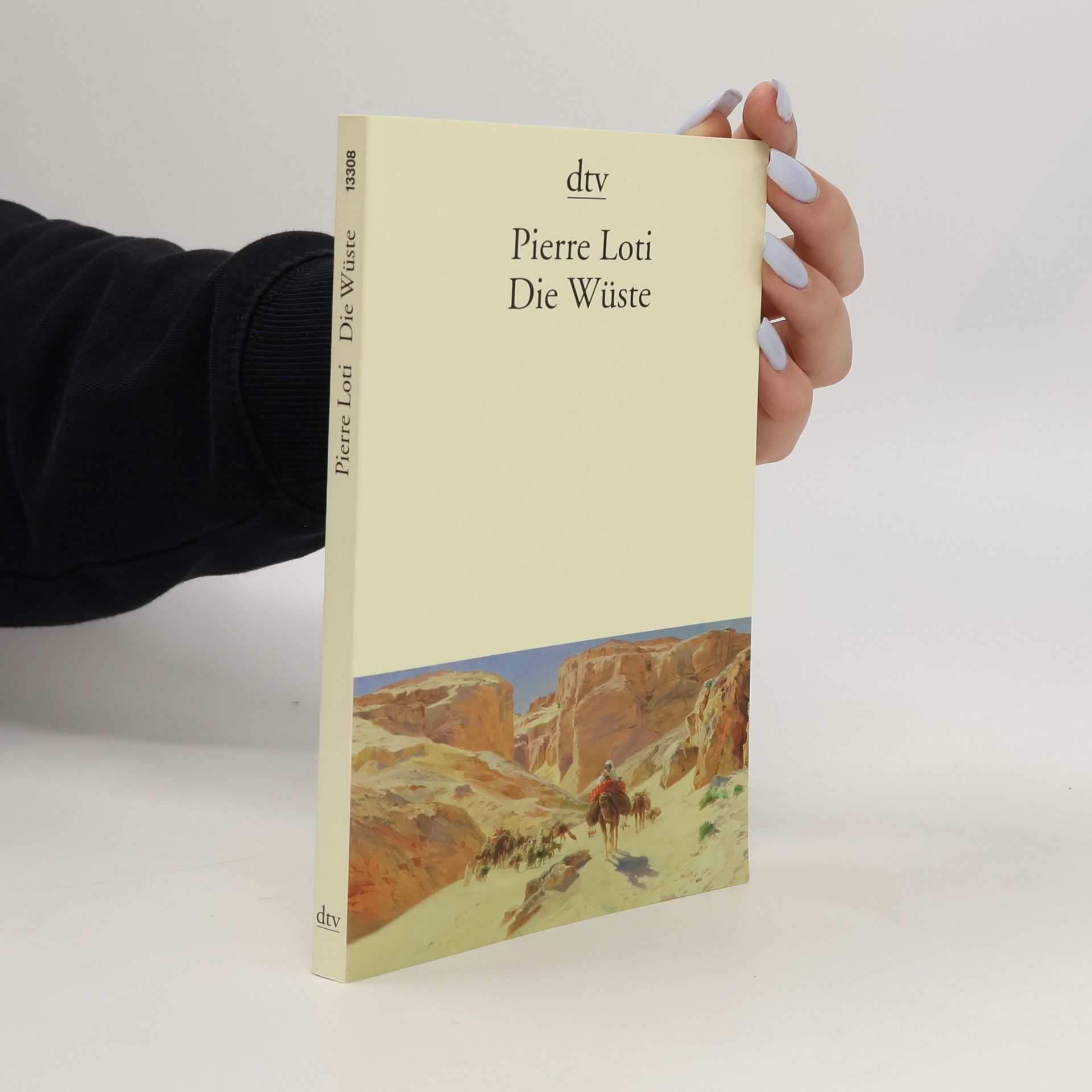 Pierre Loti Die Wüste