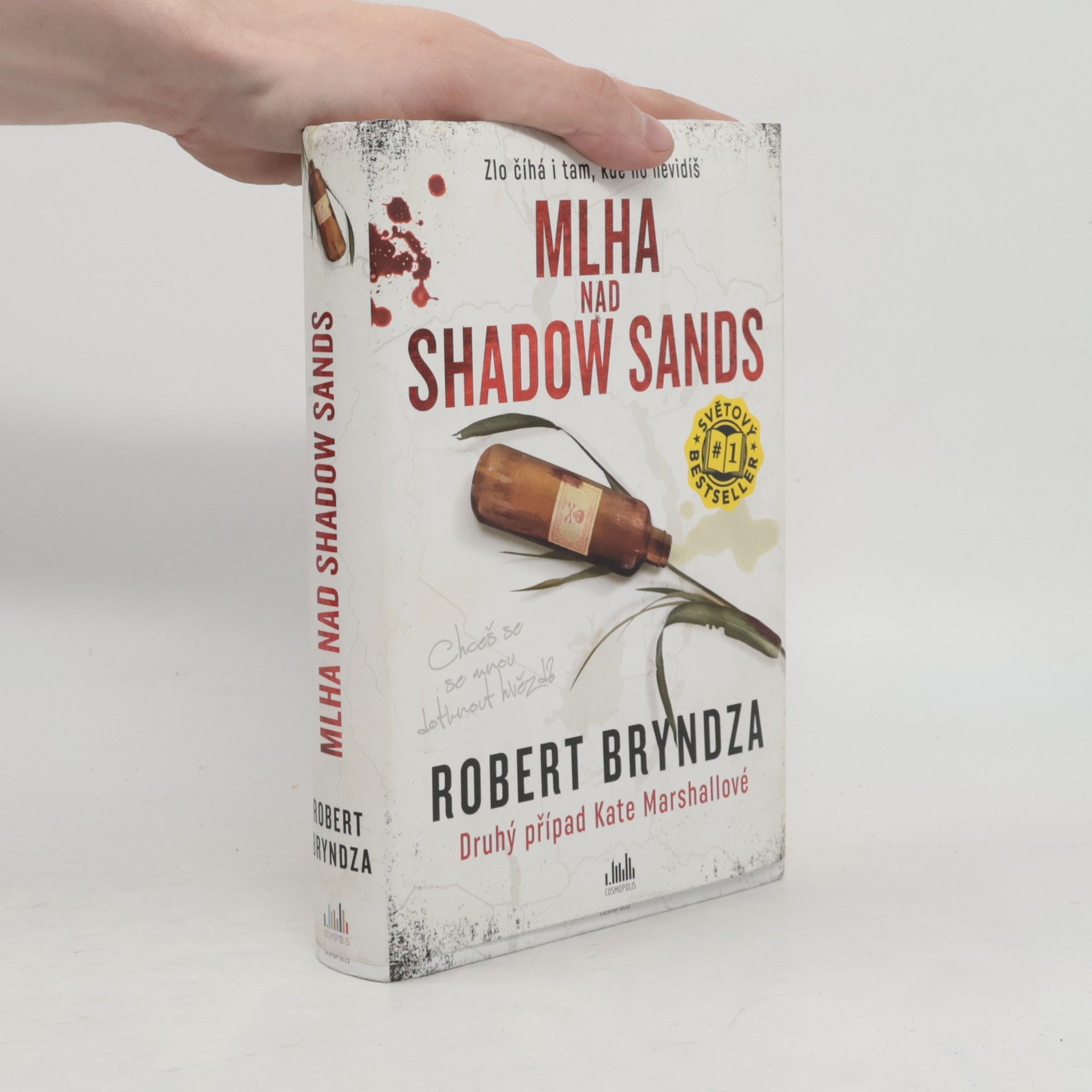 Robert Bryndza Mlha nad Shadow Sands