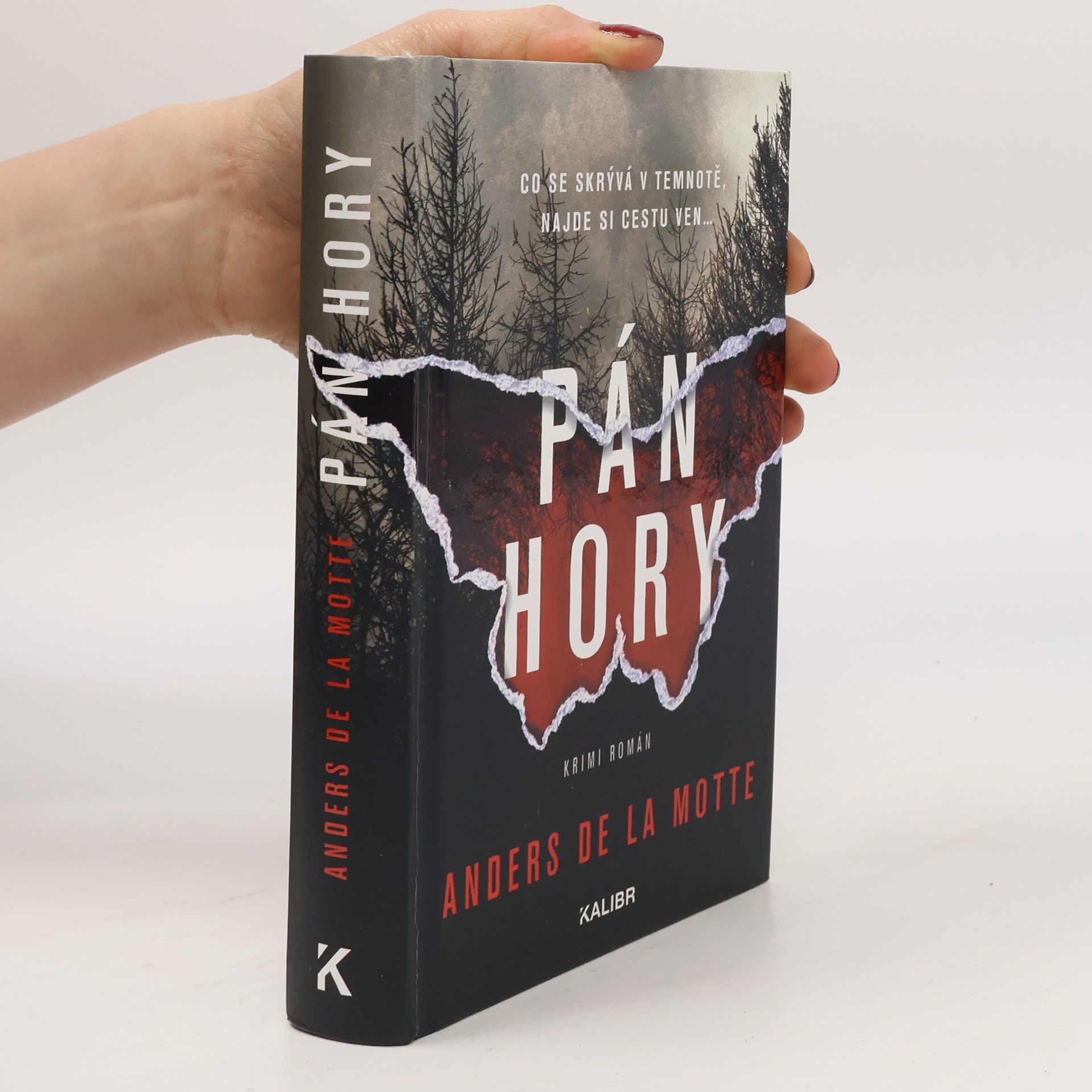 Anders De la Motte Pán hory