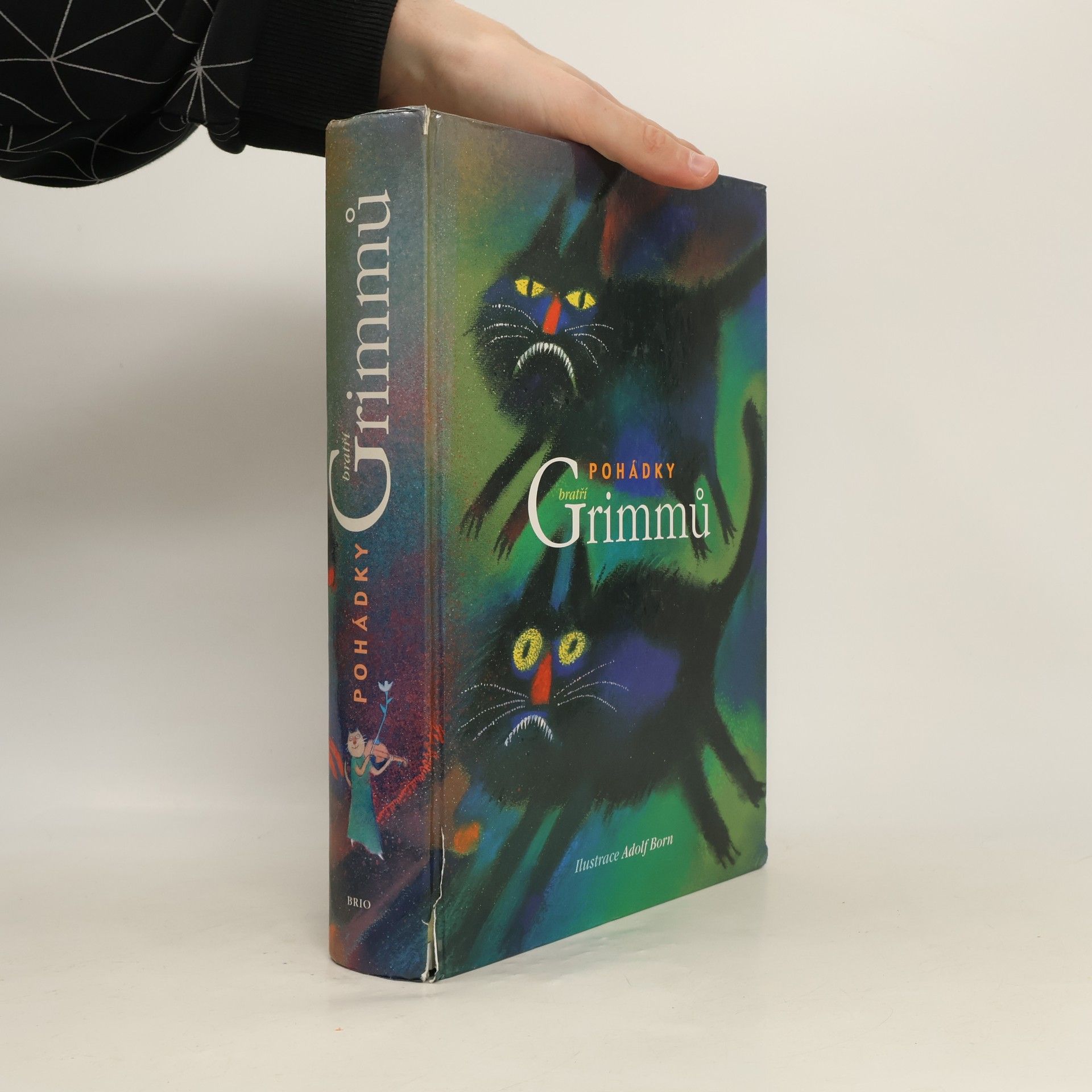 Jacob Ludwig Karl Grimm Pohádky bratří Grimmů