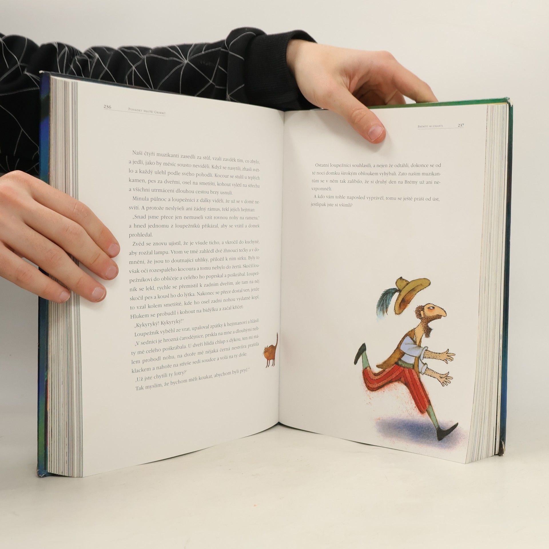 Jacob Grimm Pohádky bratří Grimmů