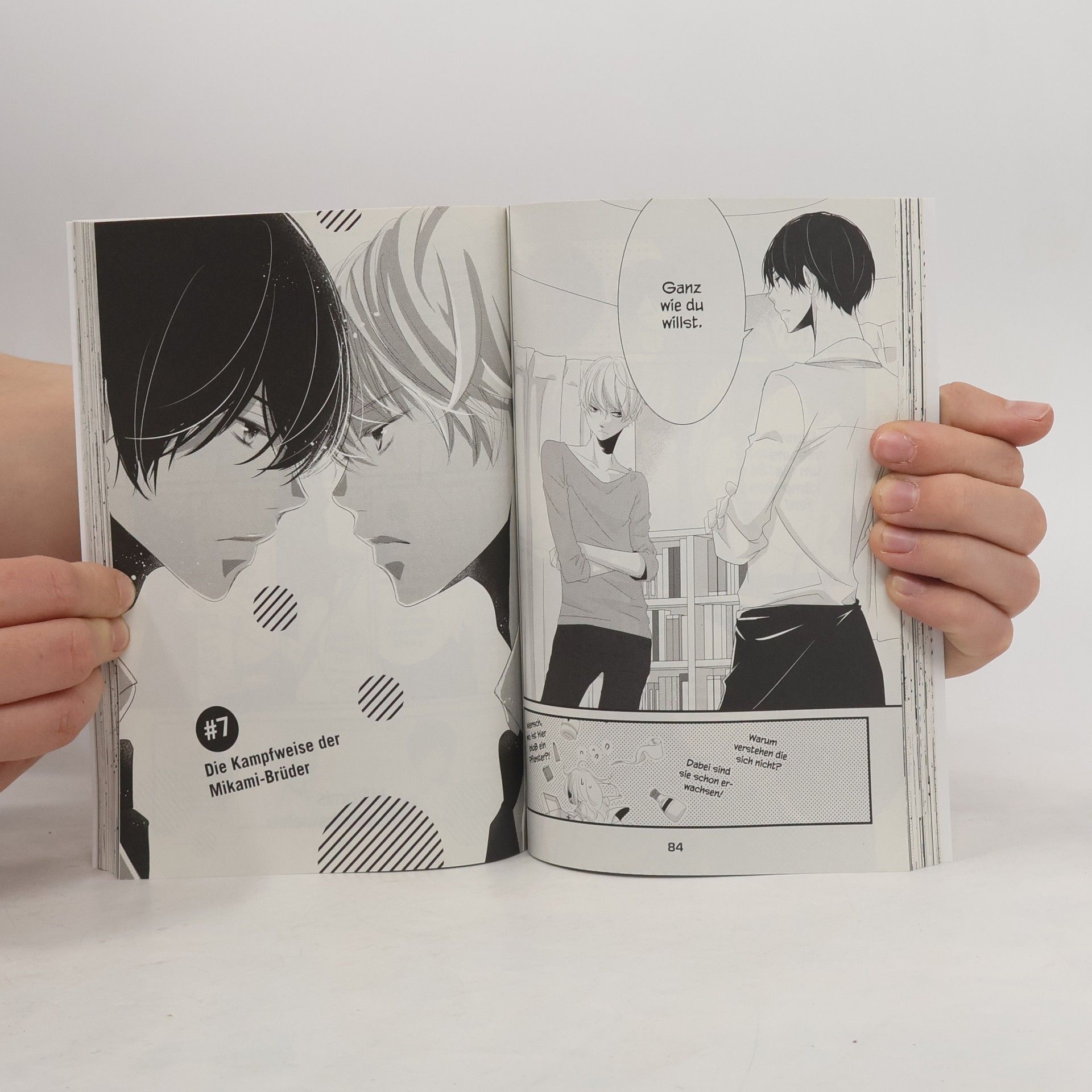Hiro Aikawa Mikamis Liebensweise 2