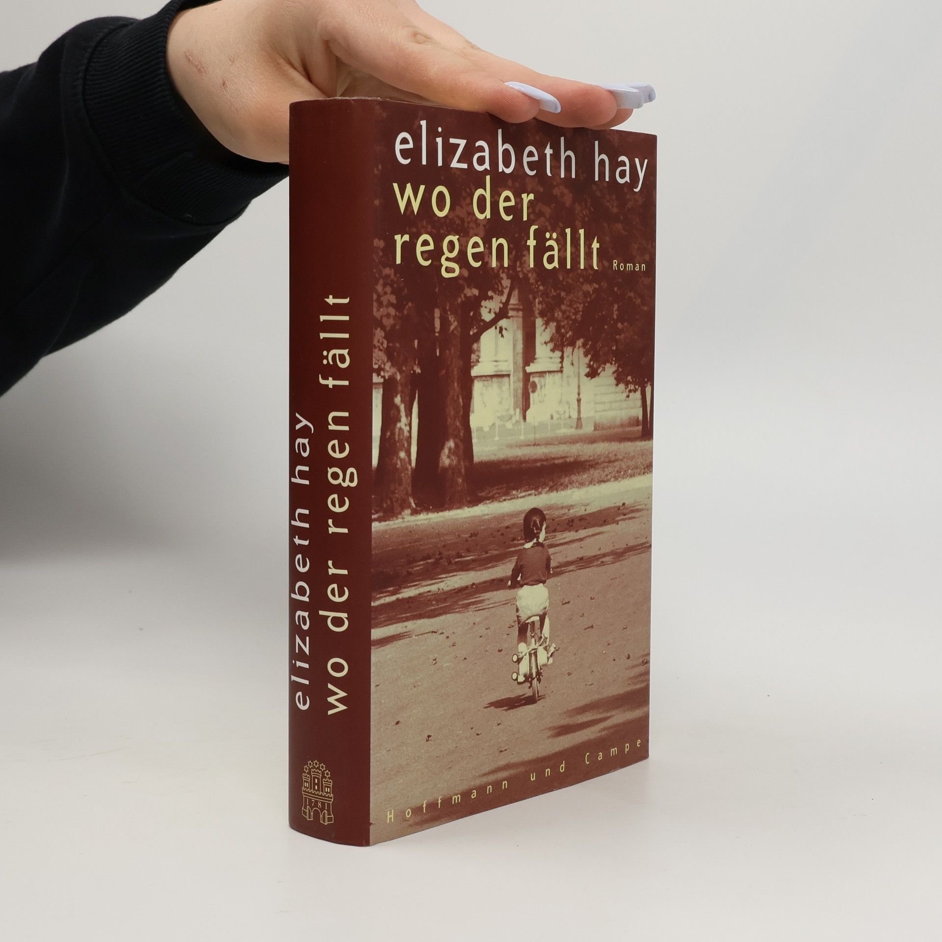 Elizabeth Hay Wo der Regen fällt