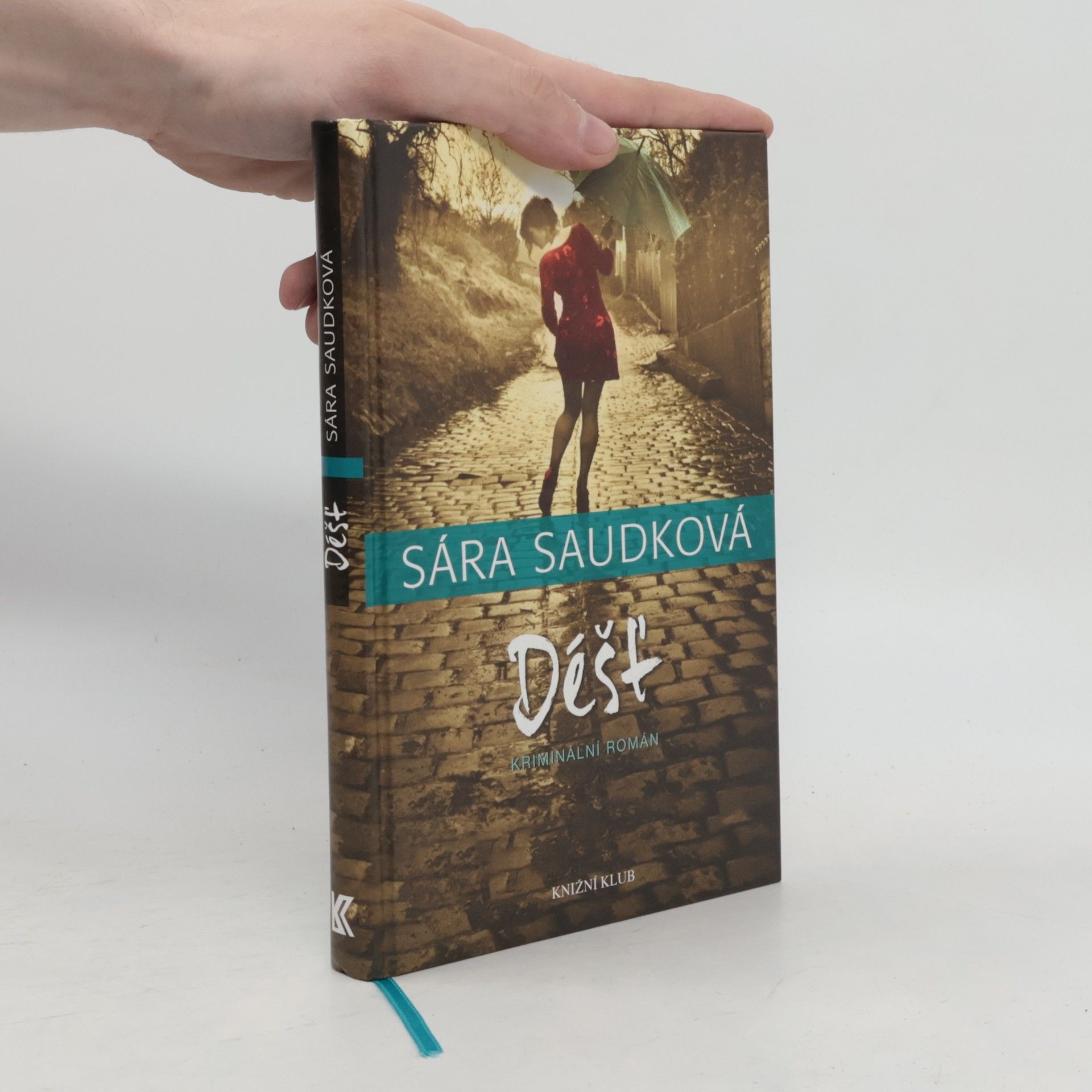 Sára Saudková Déšť