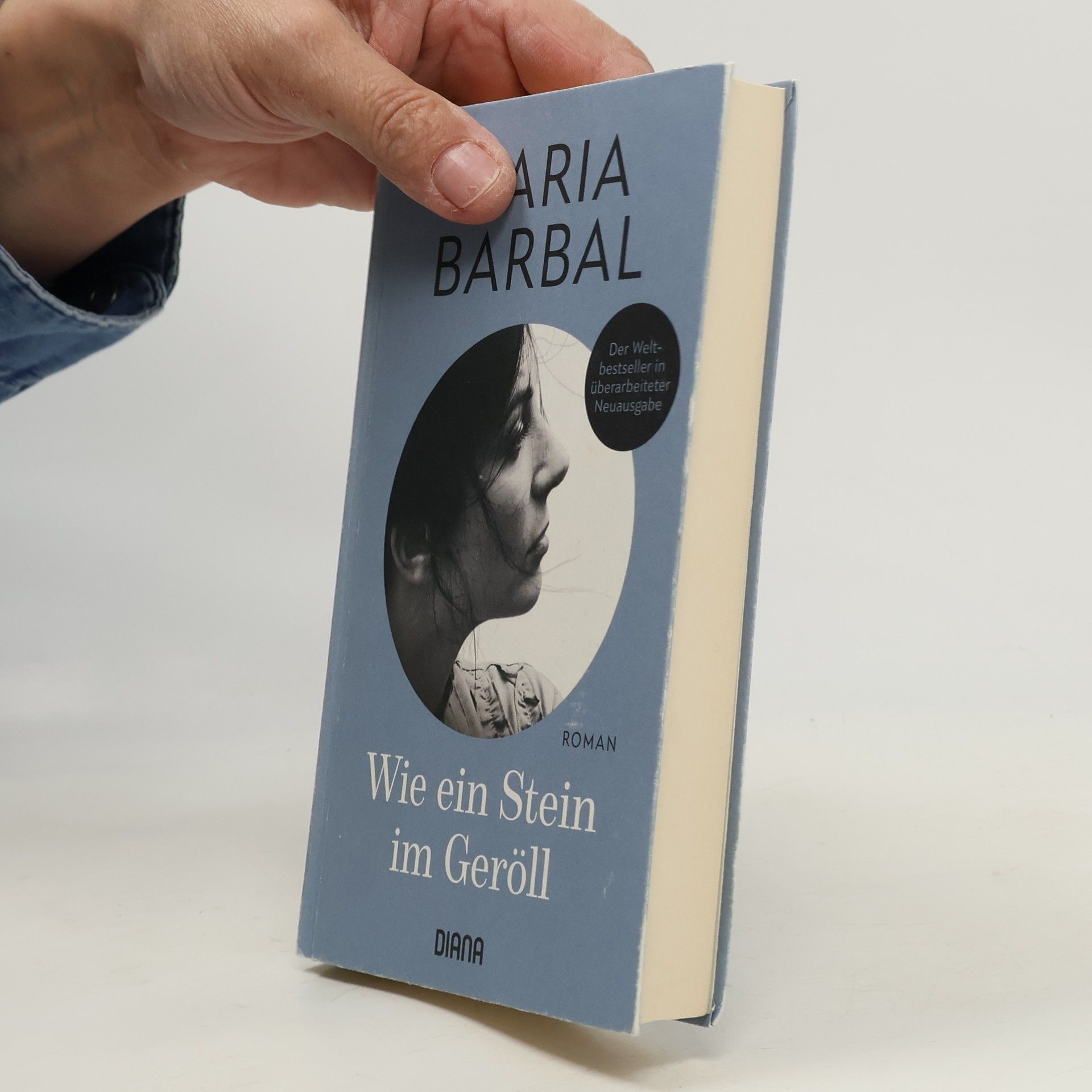 Maria Barbal i Farré Wie ein Stein im Geröll