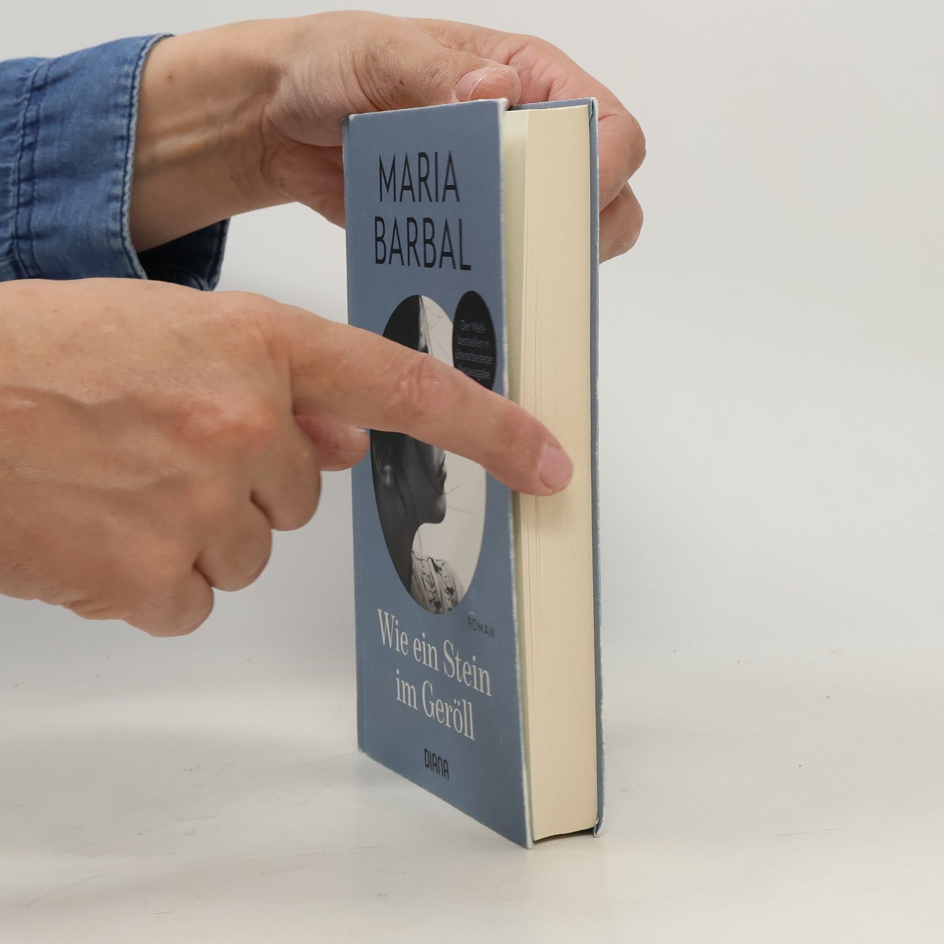 María Barbal Wie ein Stein im Geröll