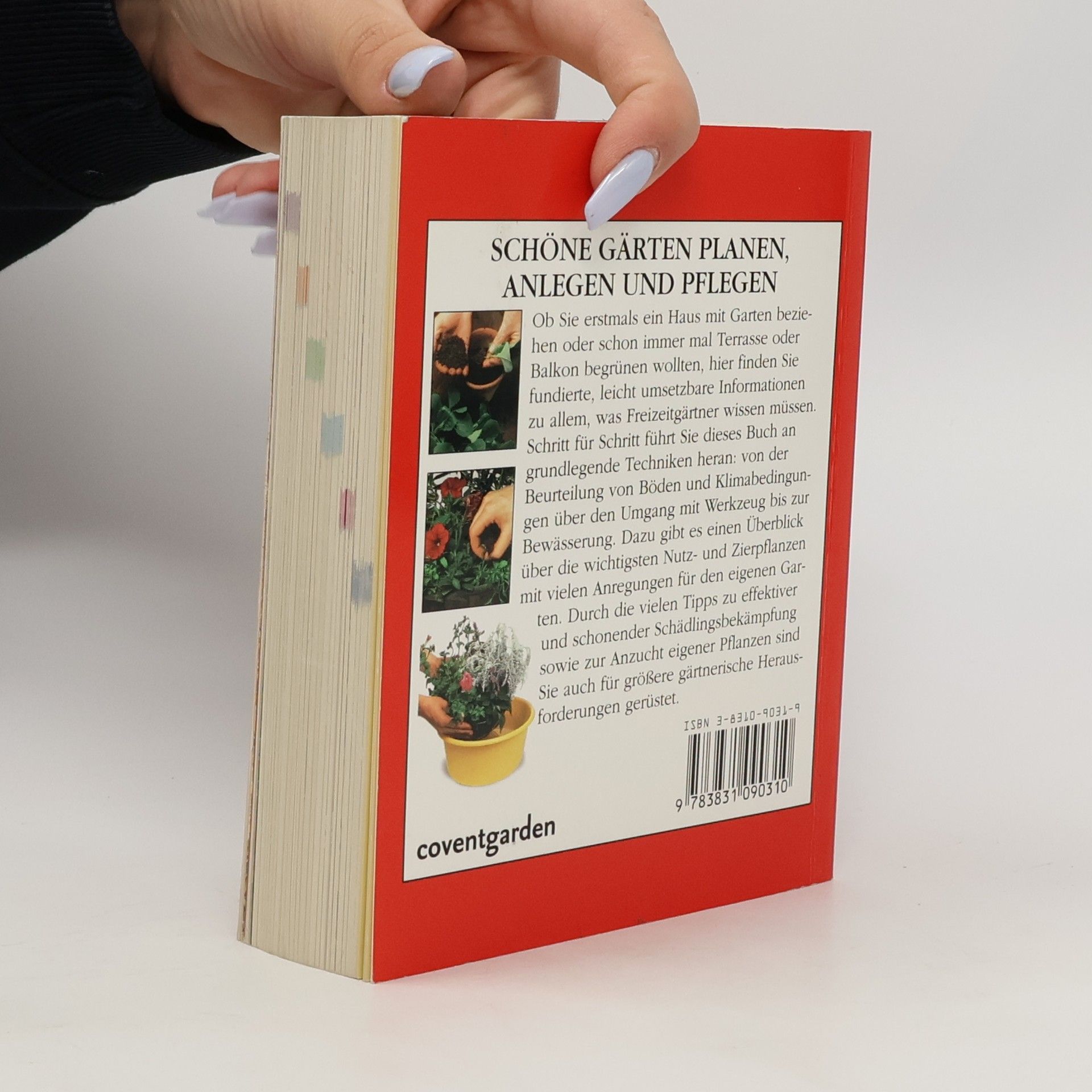 L. Patricia Kite Das Einsteiger-Handbuch Garten