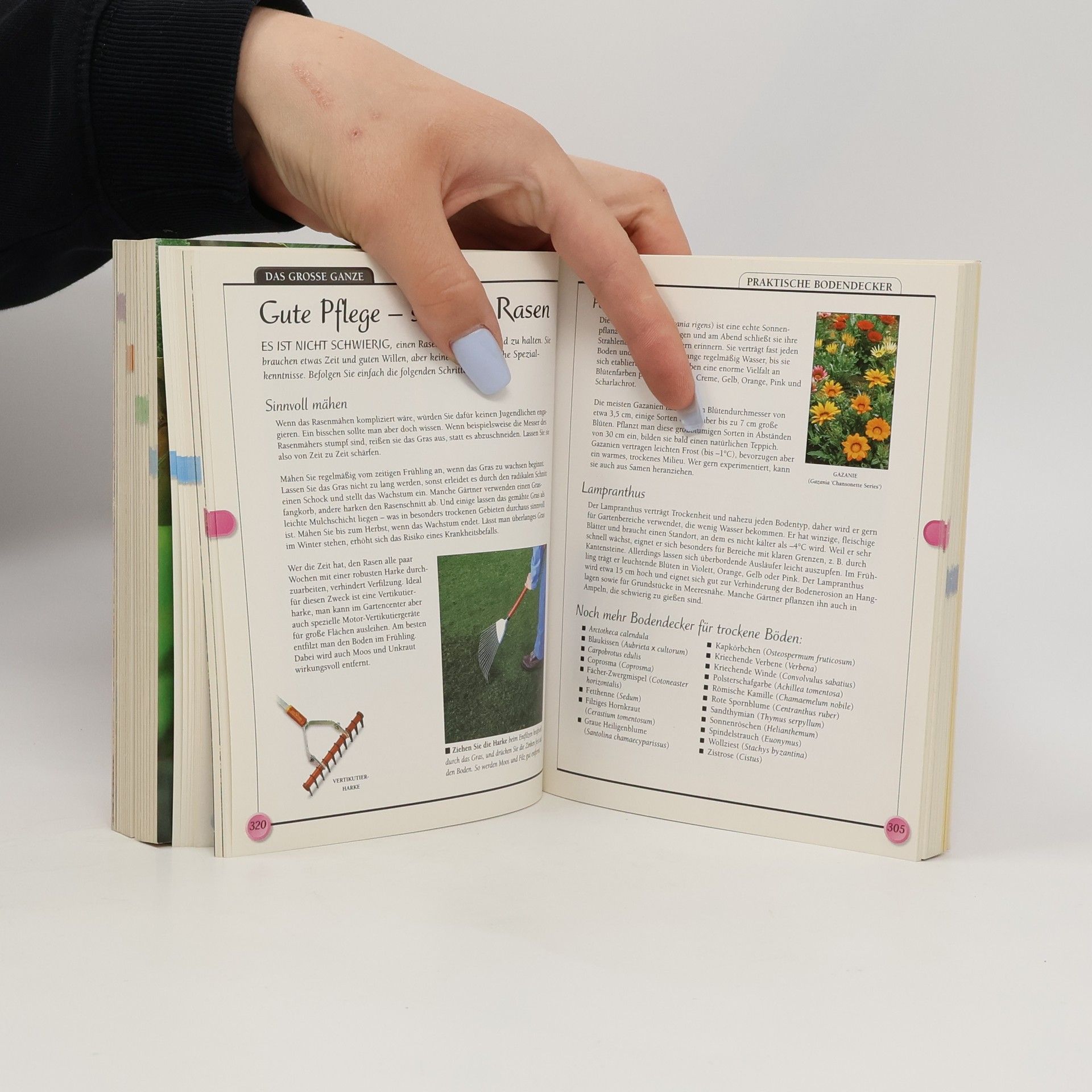 L. Patricia Kite Das Einsteiger-Handbuch Garten