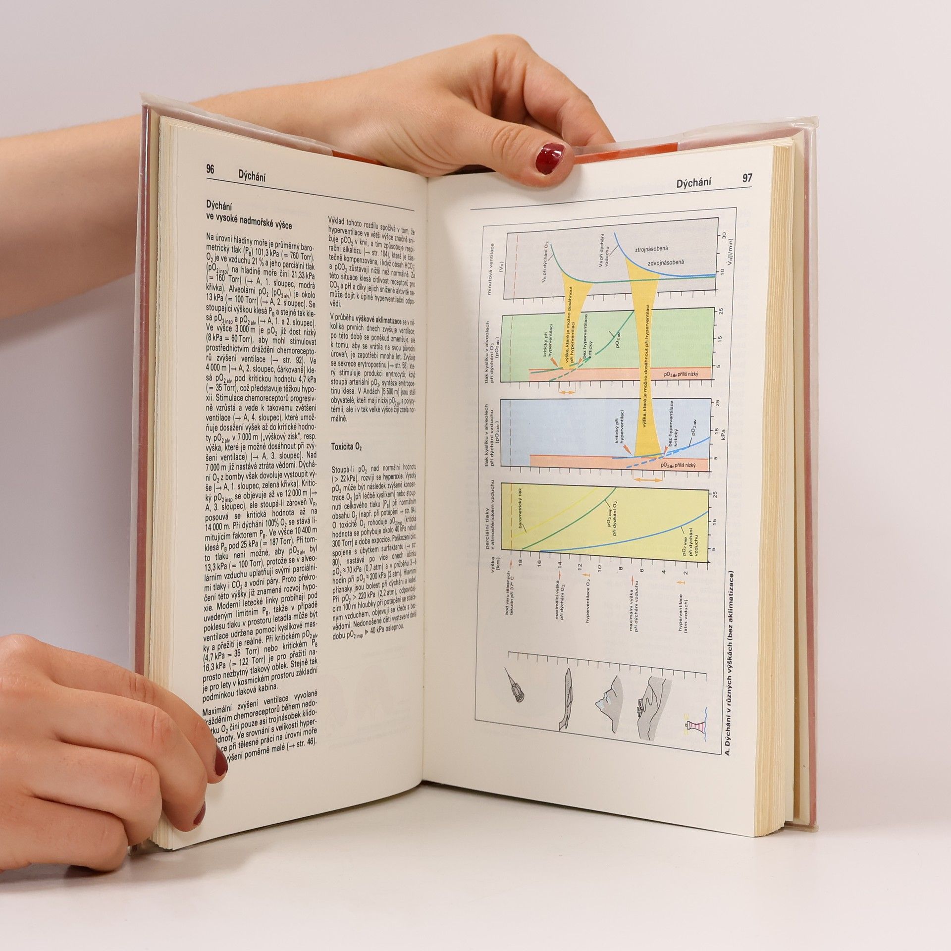Stefan Silbernagl Atlas fyziologie člověka