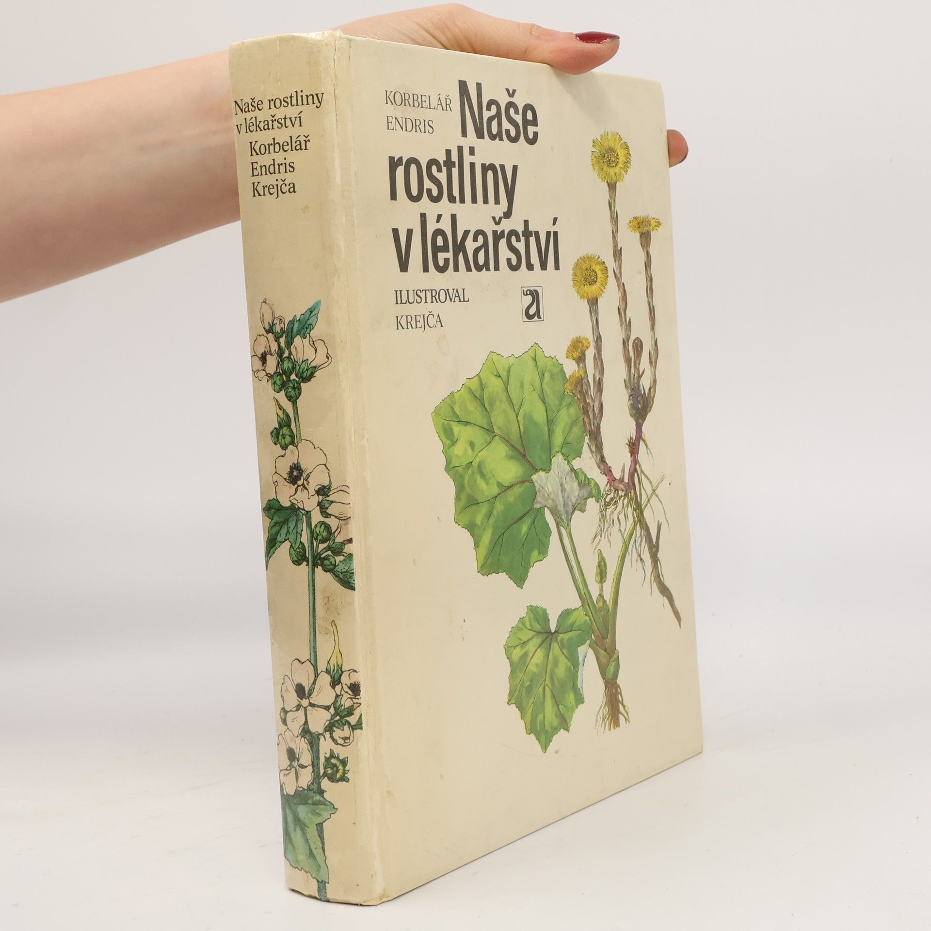 Jaroslav Korbelář Naše rostliny v lékařství