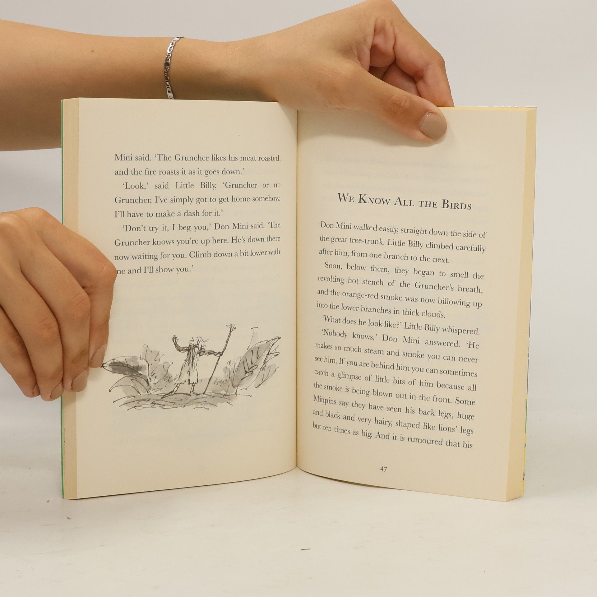 Roald Dahl Billy and the Minpins