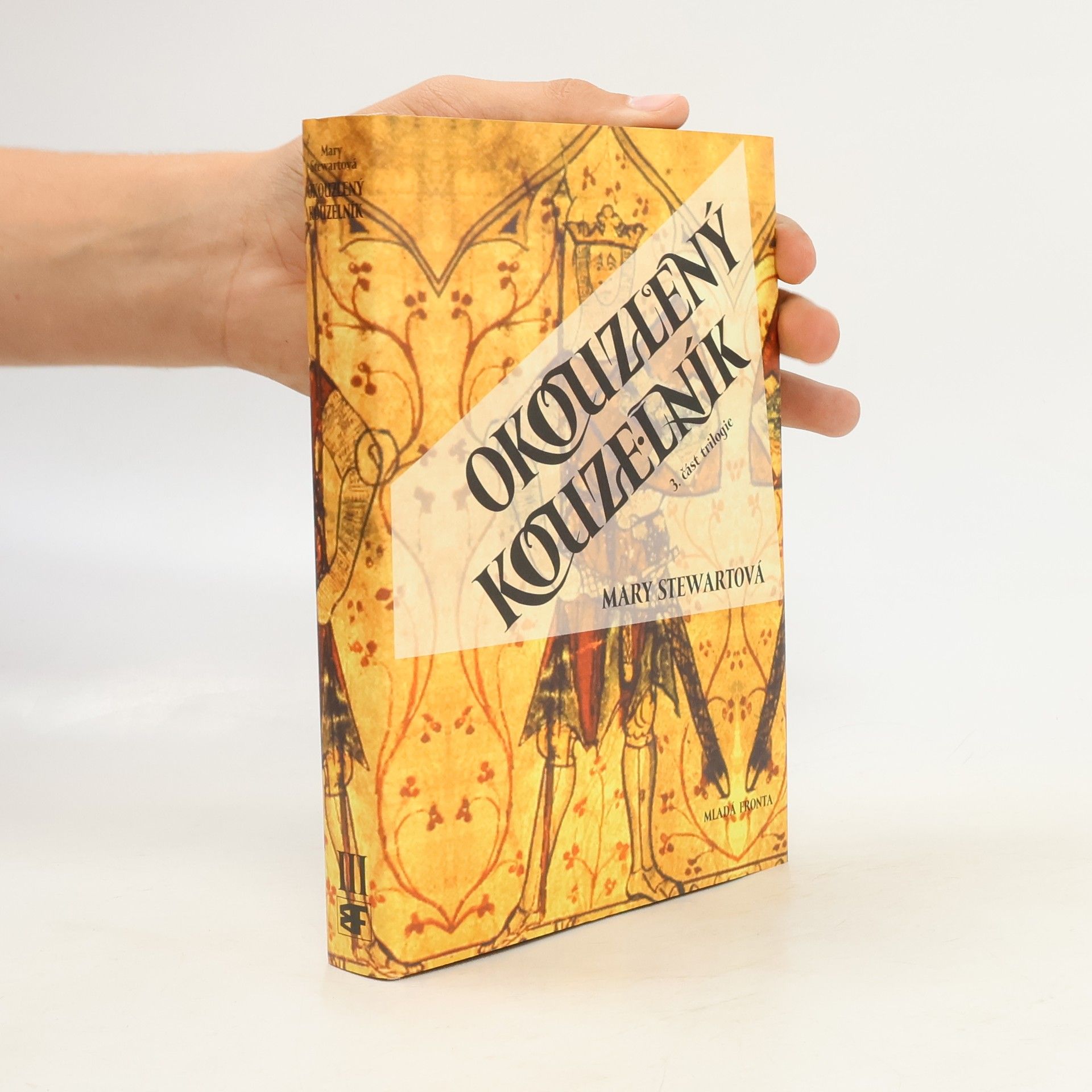 Okouzlený kouzelník