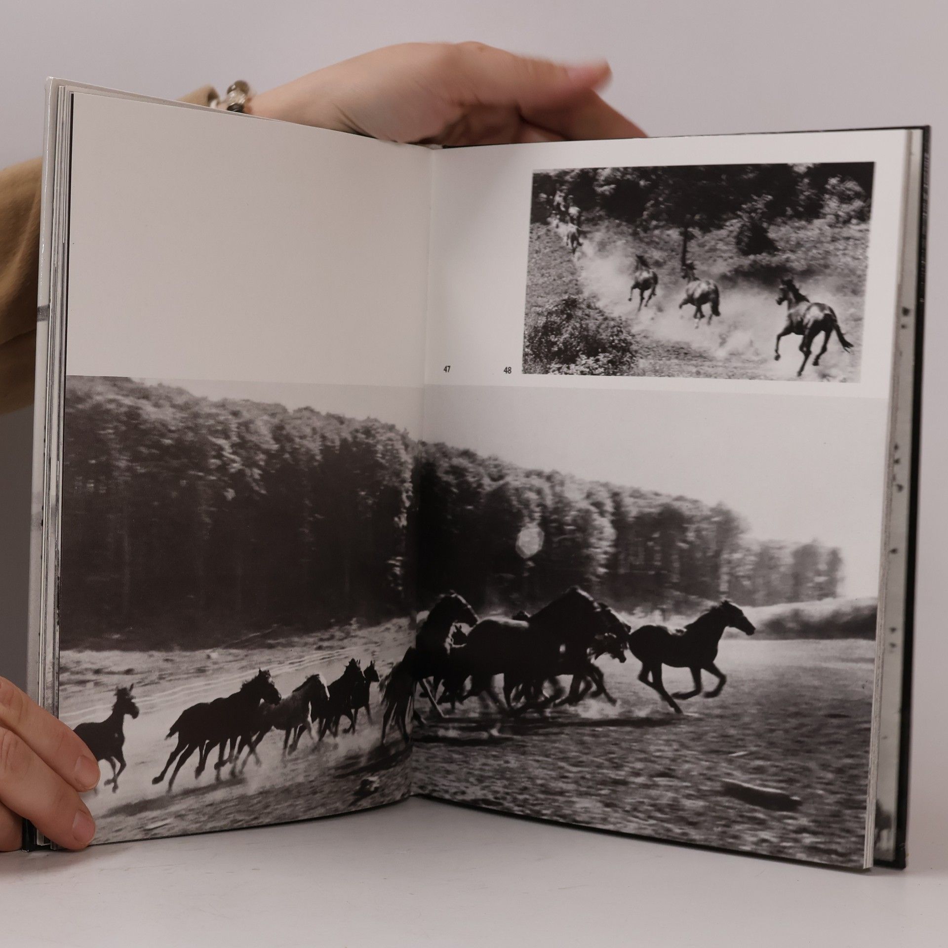 Károly Hemzo Hoofbeats au galop