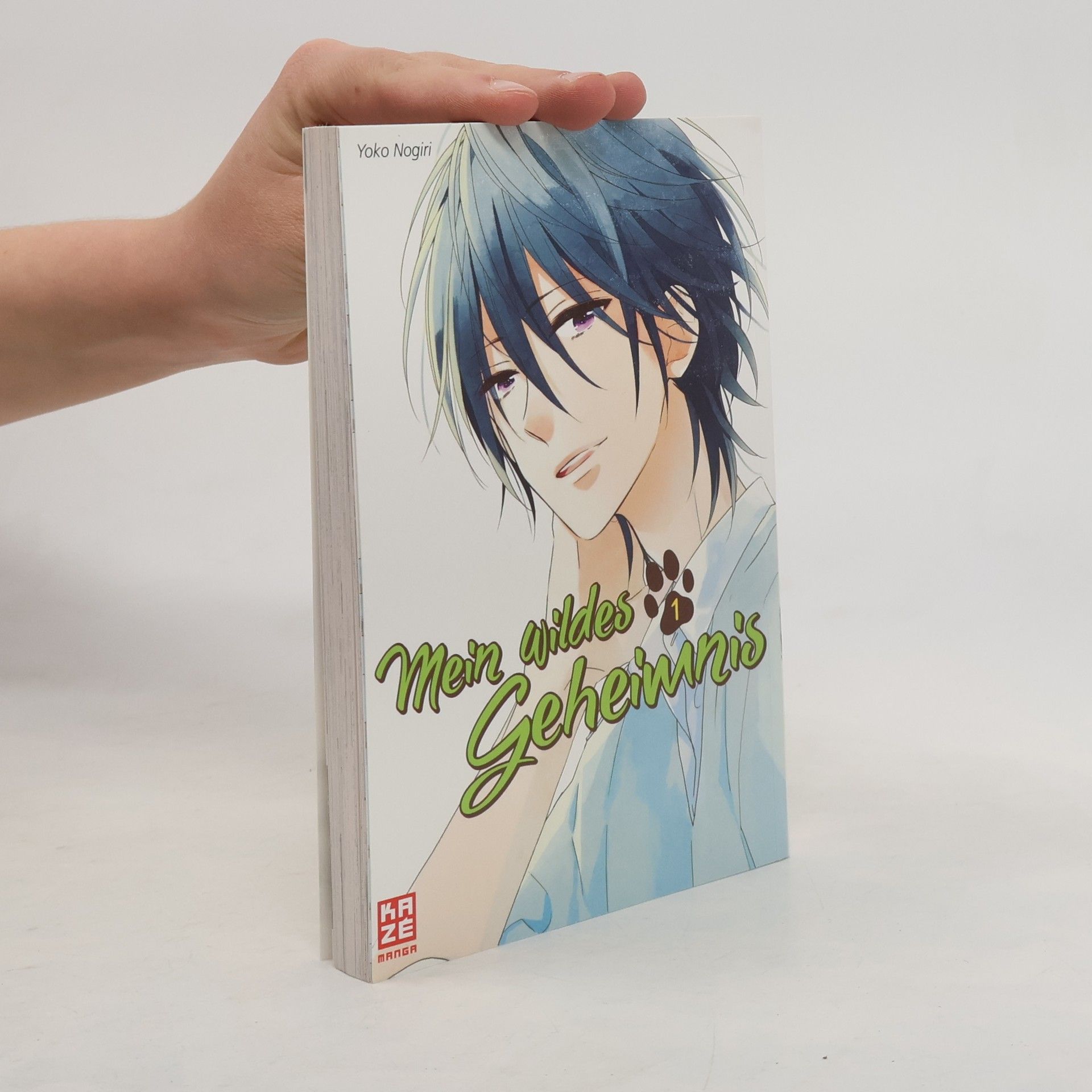 Yoko Nogiri Mein wildes Geheimnis 1