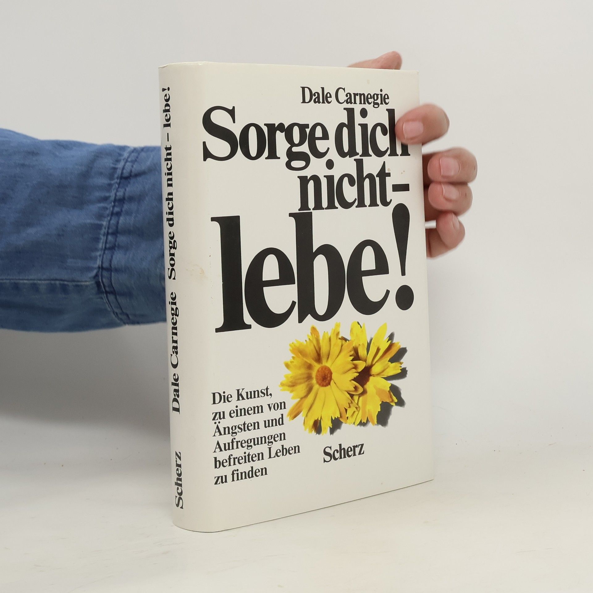 Dale Carnegie Sorge dich nicht - lebe!