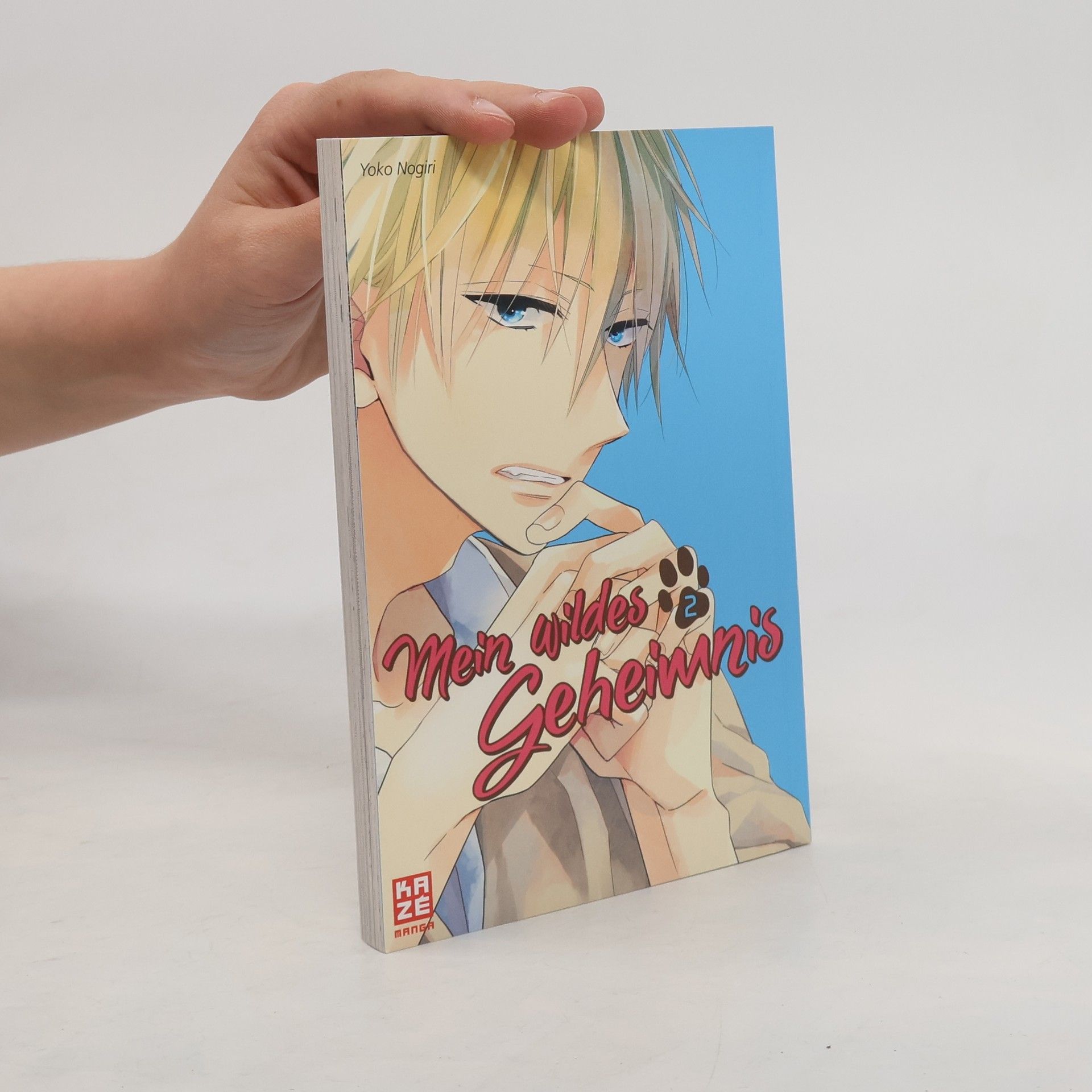 Yoko Nogiri Mein wildes Geheimnis 2