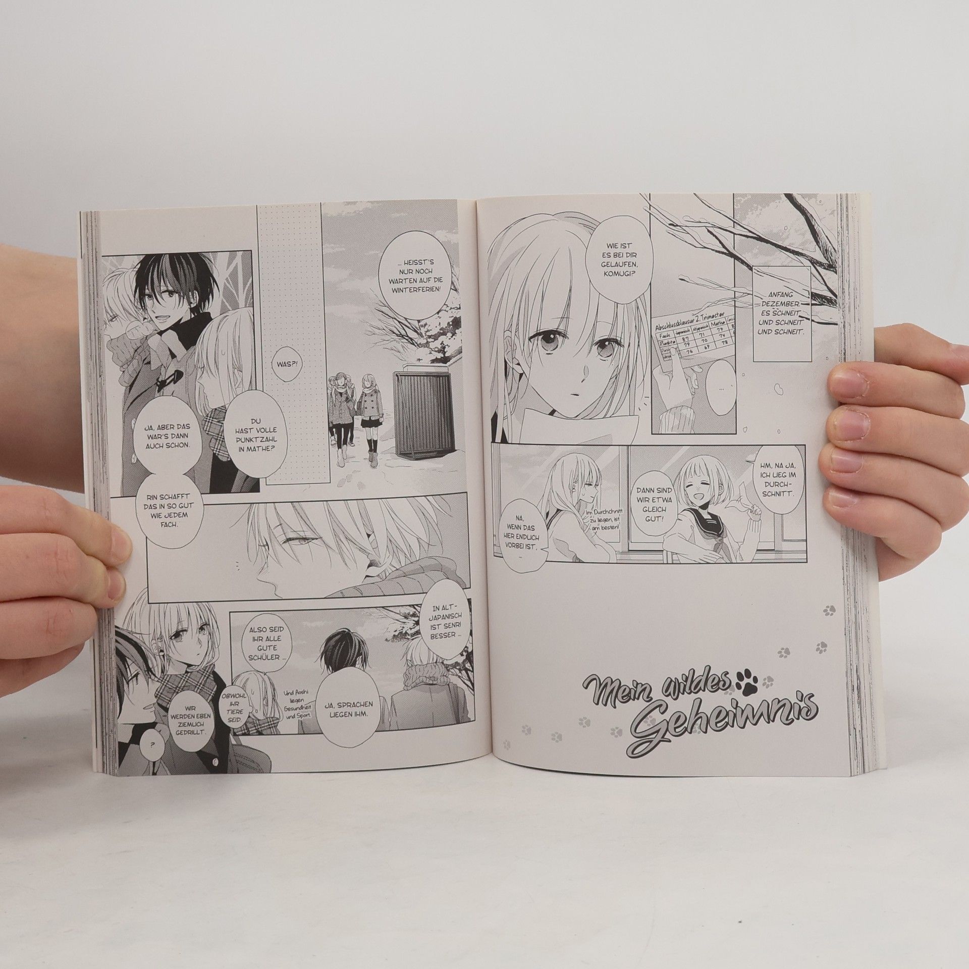 Yoko Nogiri Mein wildes Geheimnis 2