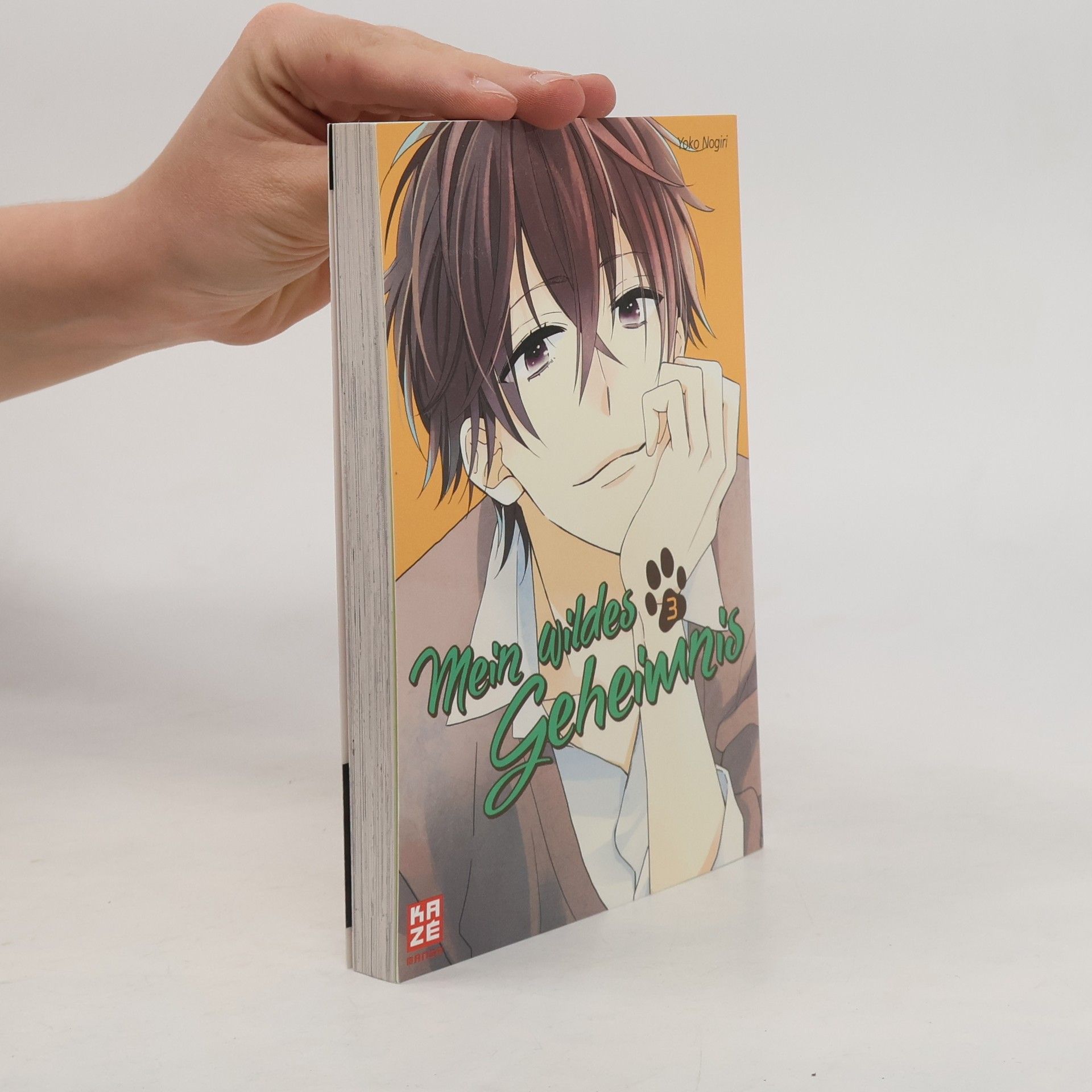 Yoko Nogiri Mein wildes Geheimnis 3