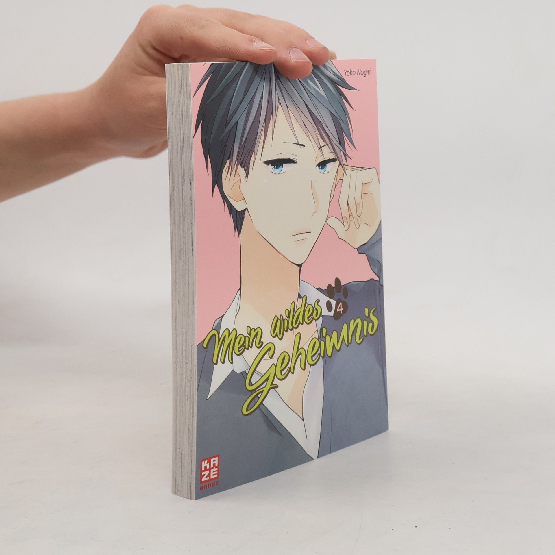 Yoko Nogiri Mein wildes Geheimnis 4