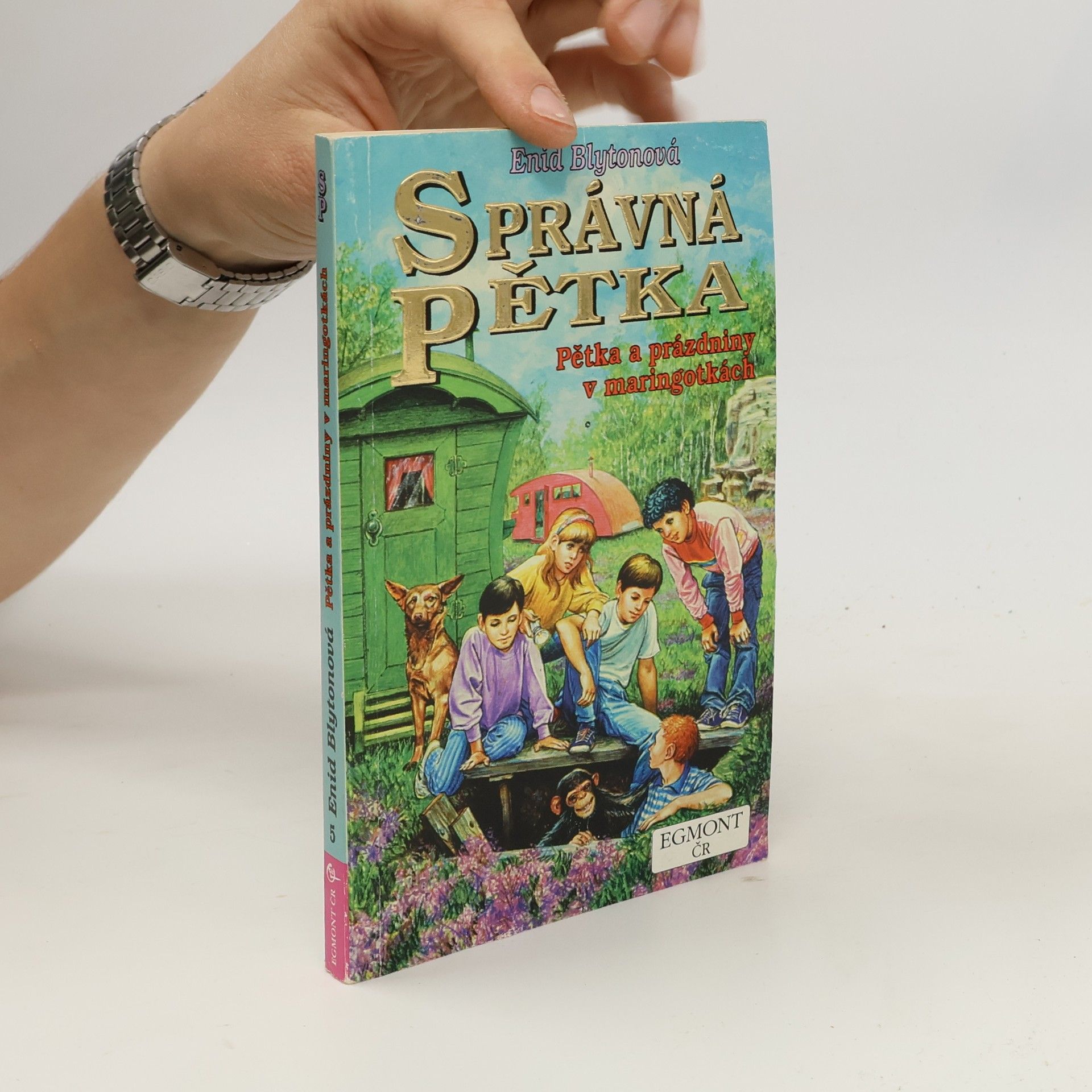 Enid Blyton Správná pětka: Pětka a prázdniny v maringotkách