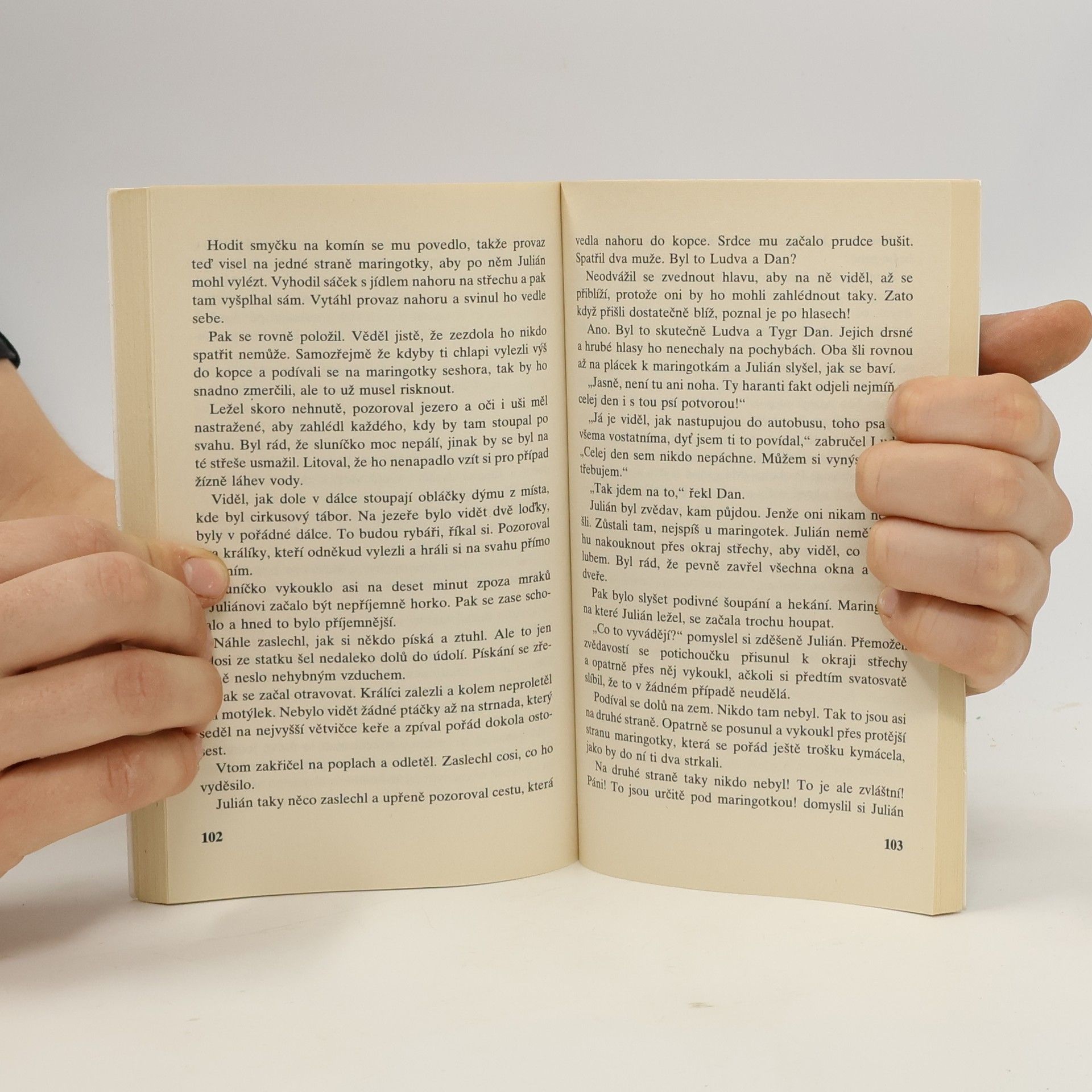 Enid Blyton Správná pětka: Pětka a prázdniny v maringotkách