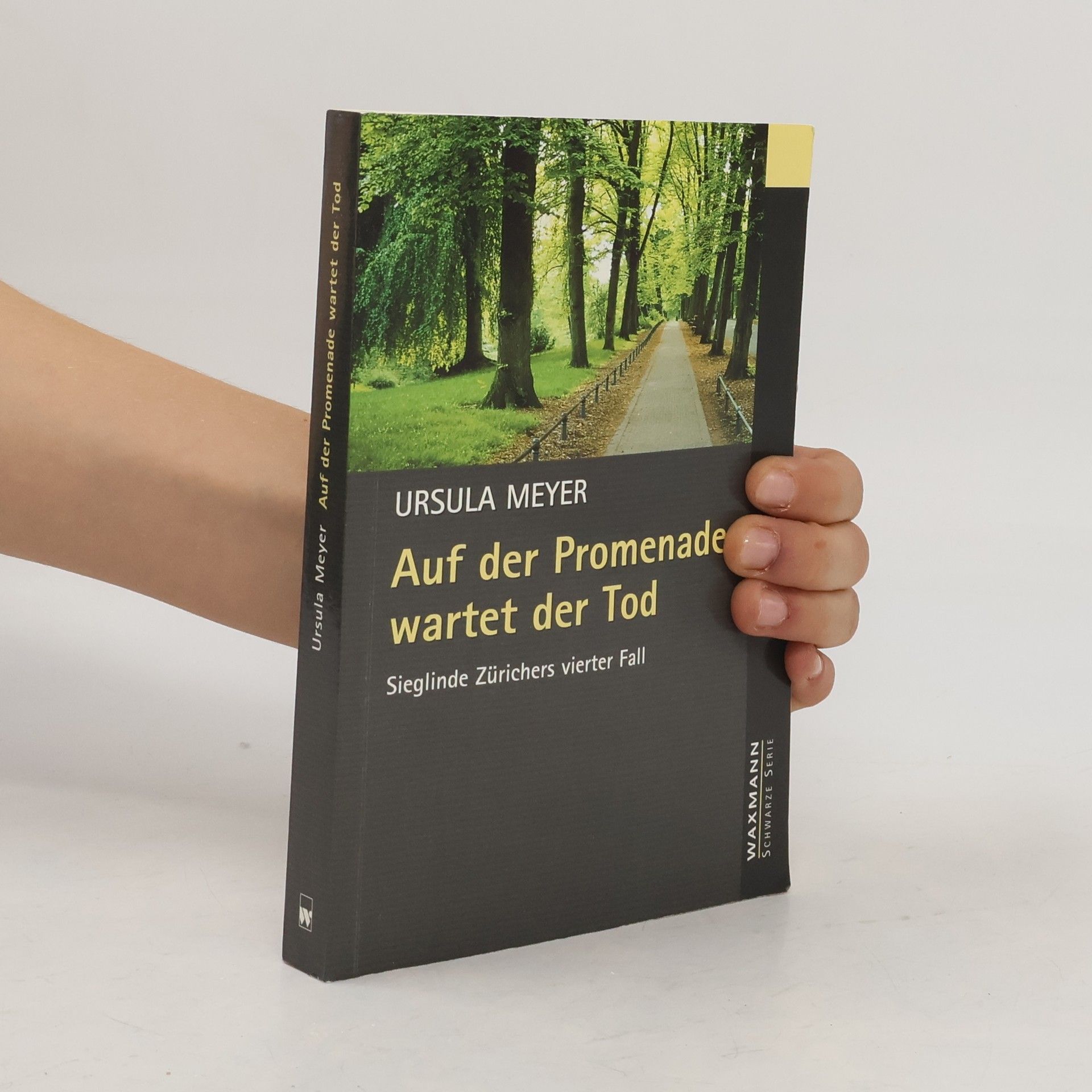 Ursula Meyer-Semlies Auf der Promenade wartet der Tod. Sieglinde Zürichers vierter Fall