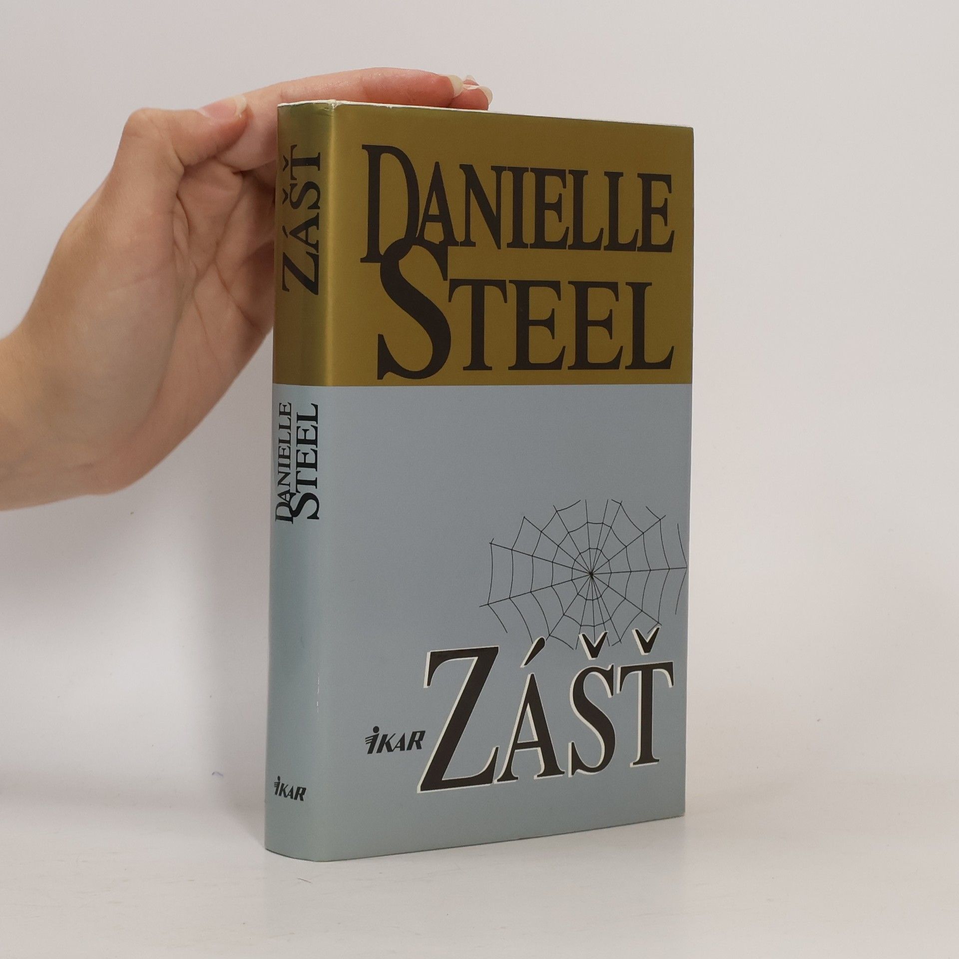 Danielle Steelová Zášť