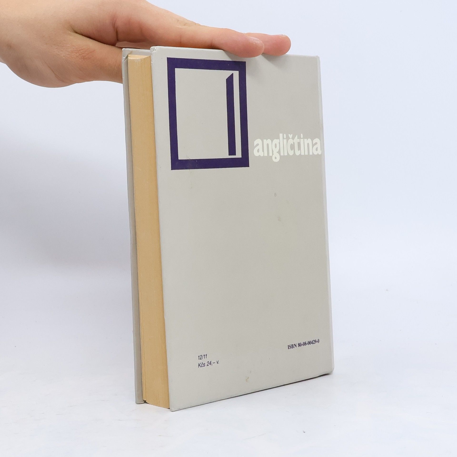 Autorenkollektiv Angličtina pre jazykové školy a kurzy 1