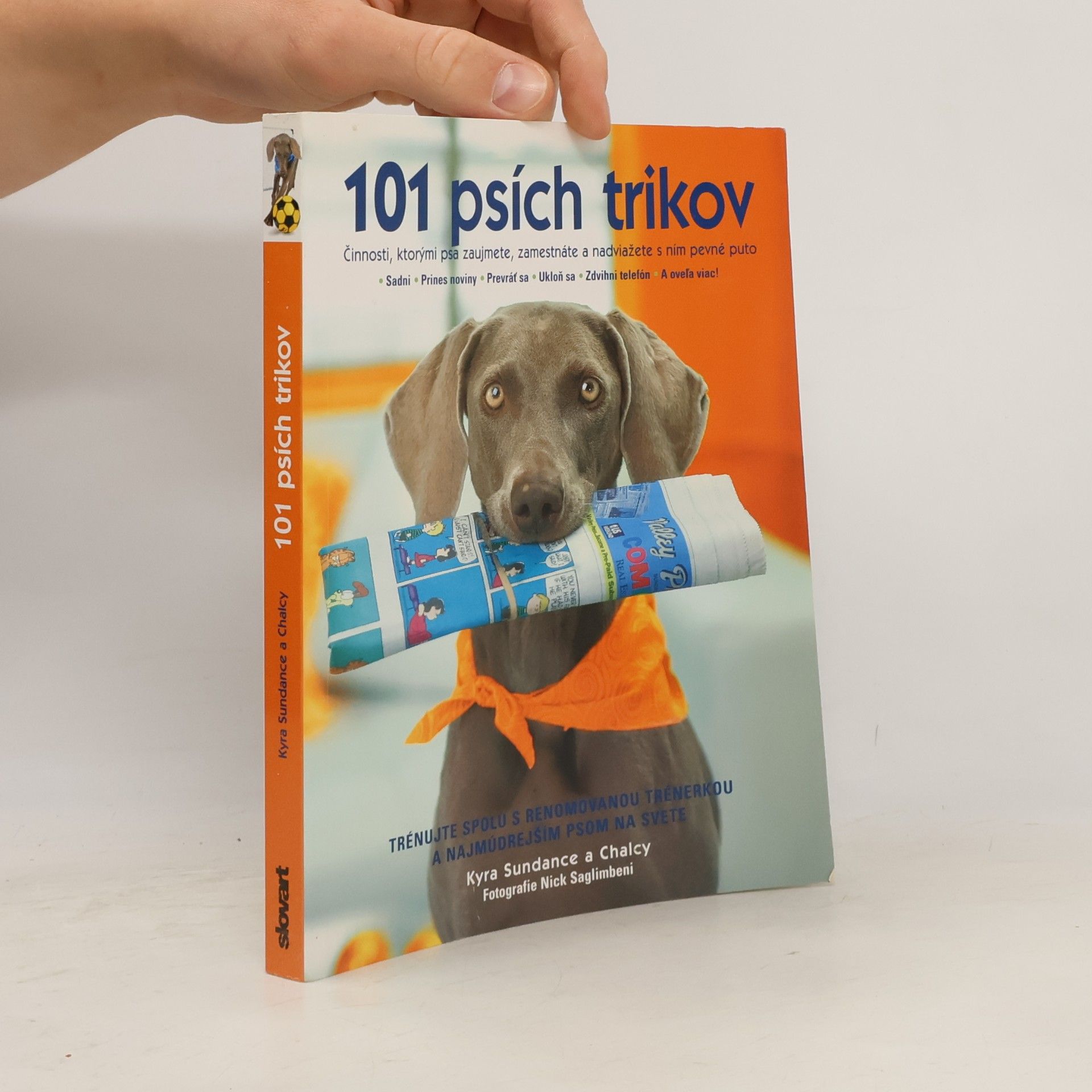 Kyra Sundance 101 psích trikov