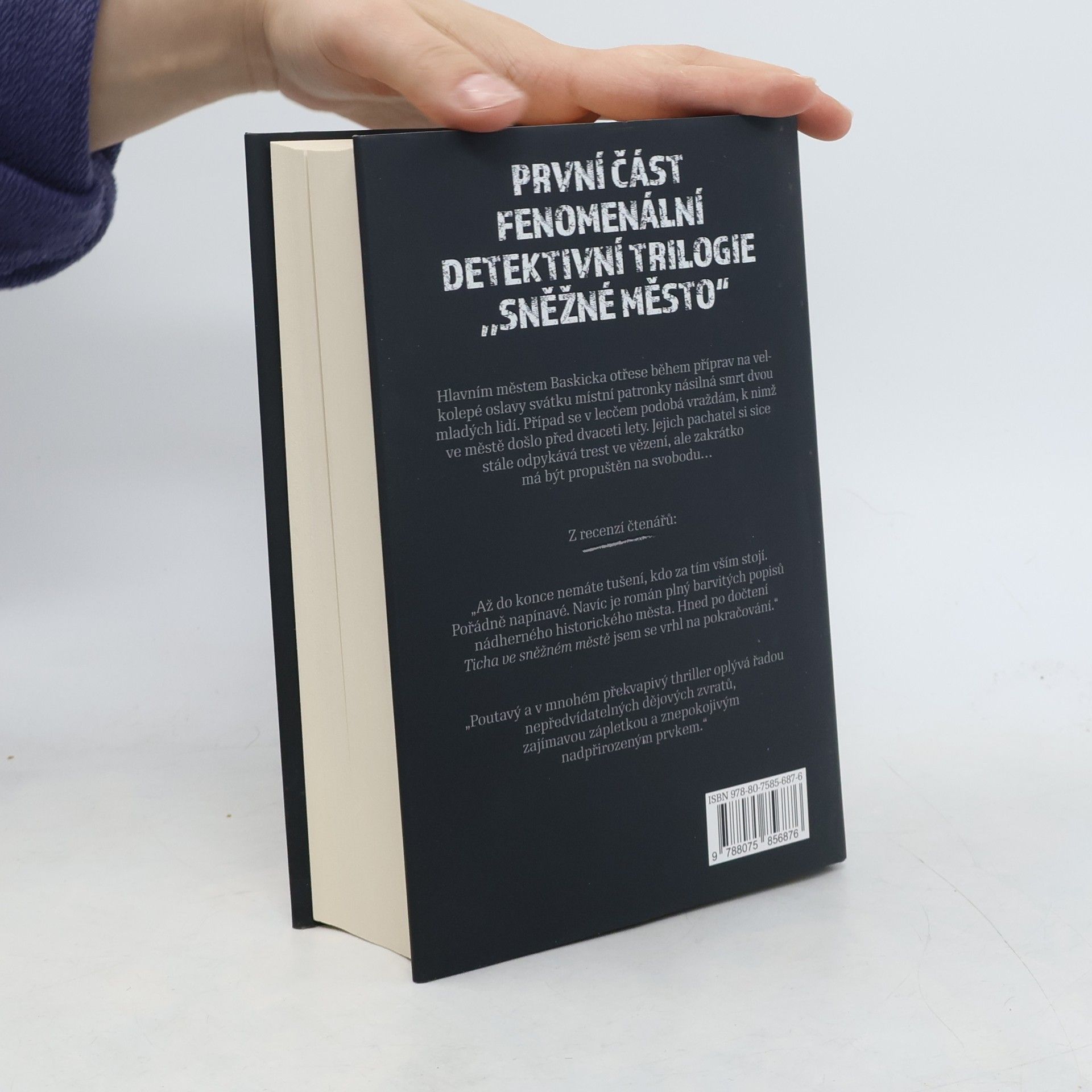 Eva Garcíaová Sáenzová Ticho ve sněžném městě