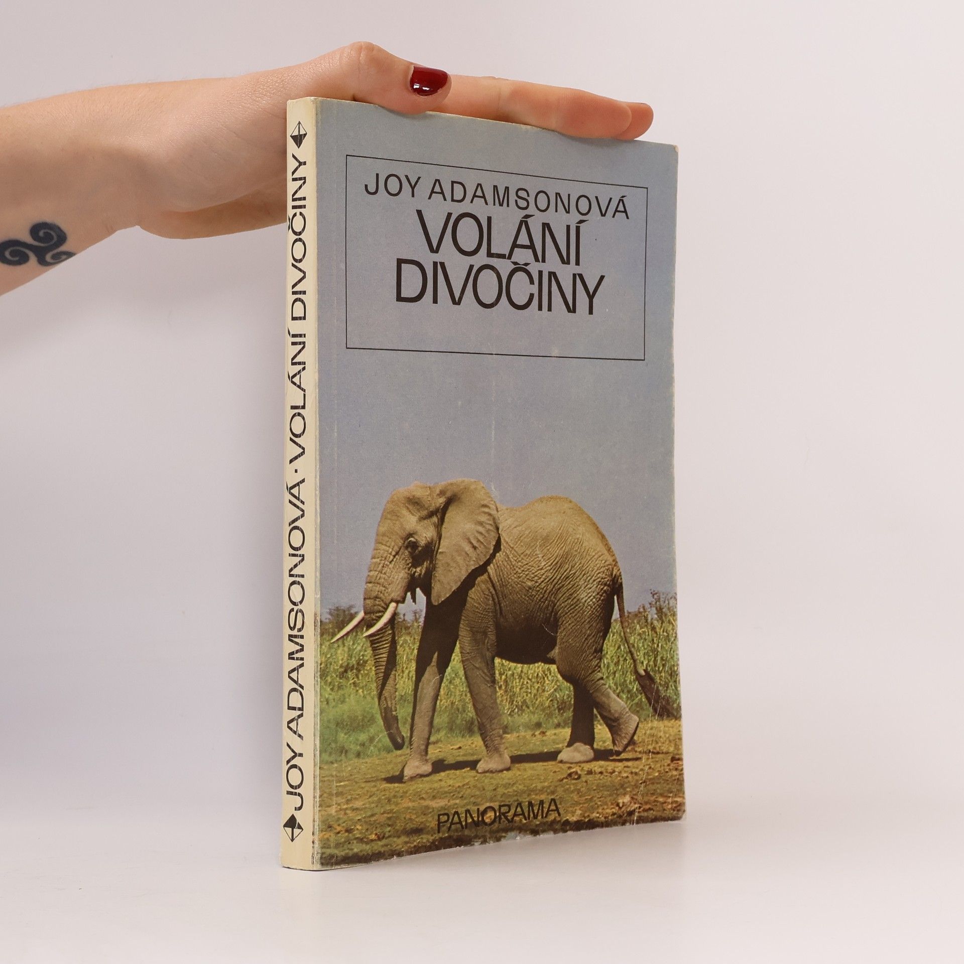 Volání divočiny
