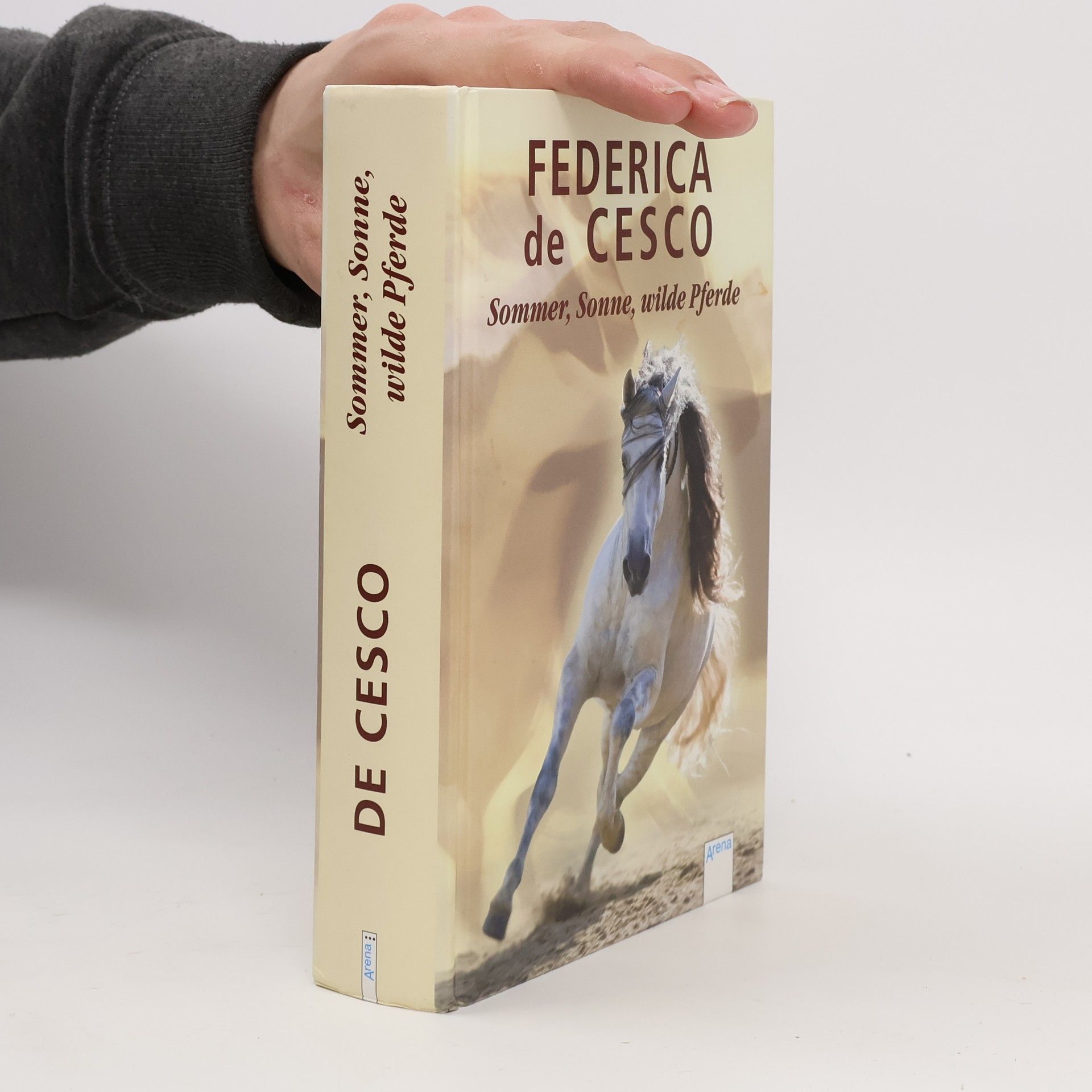 Federica de Cesco Sommer, Sonne, wilde Pferde