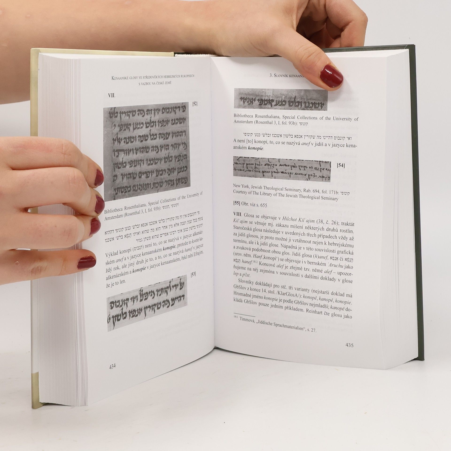 Autorenkollektiv Kenaanské glosy ve středověkých hebrejských rukopisech s vazbou na české země