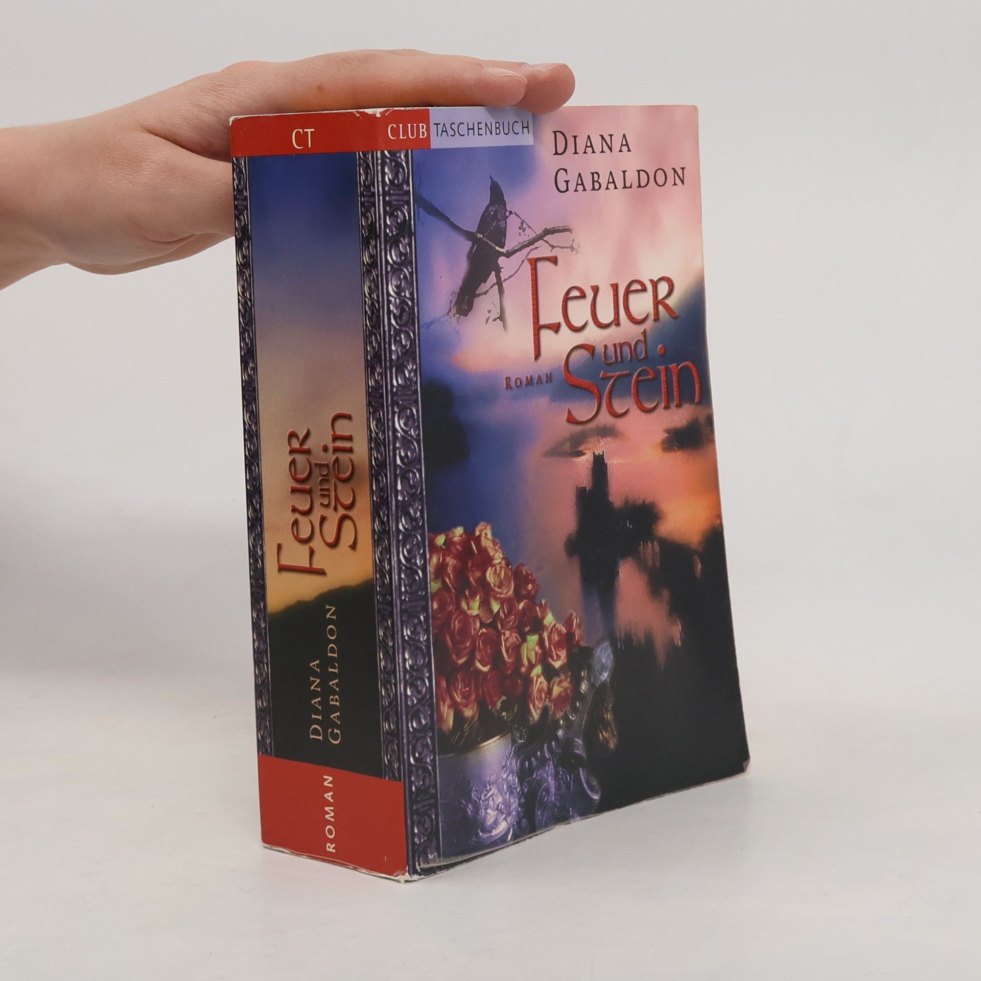Diana Gabaldon Feuer und Stein