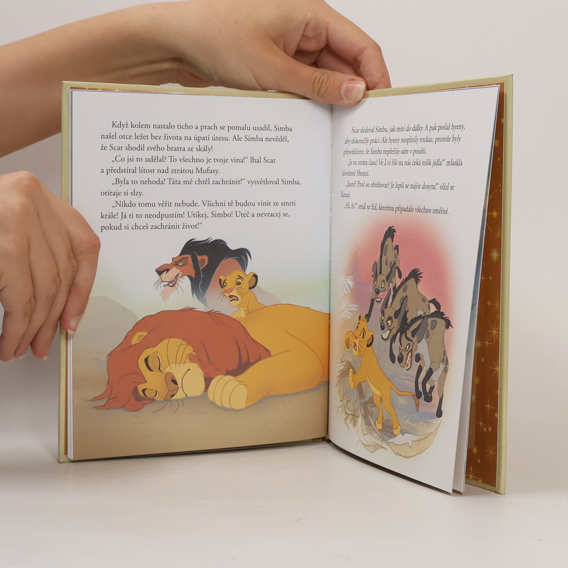 Autorenkollektiv Zlatá sbírka pohádek 1. Lví král