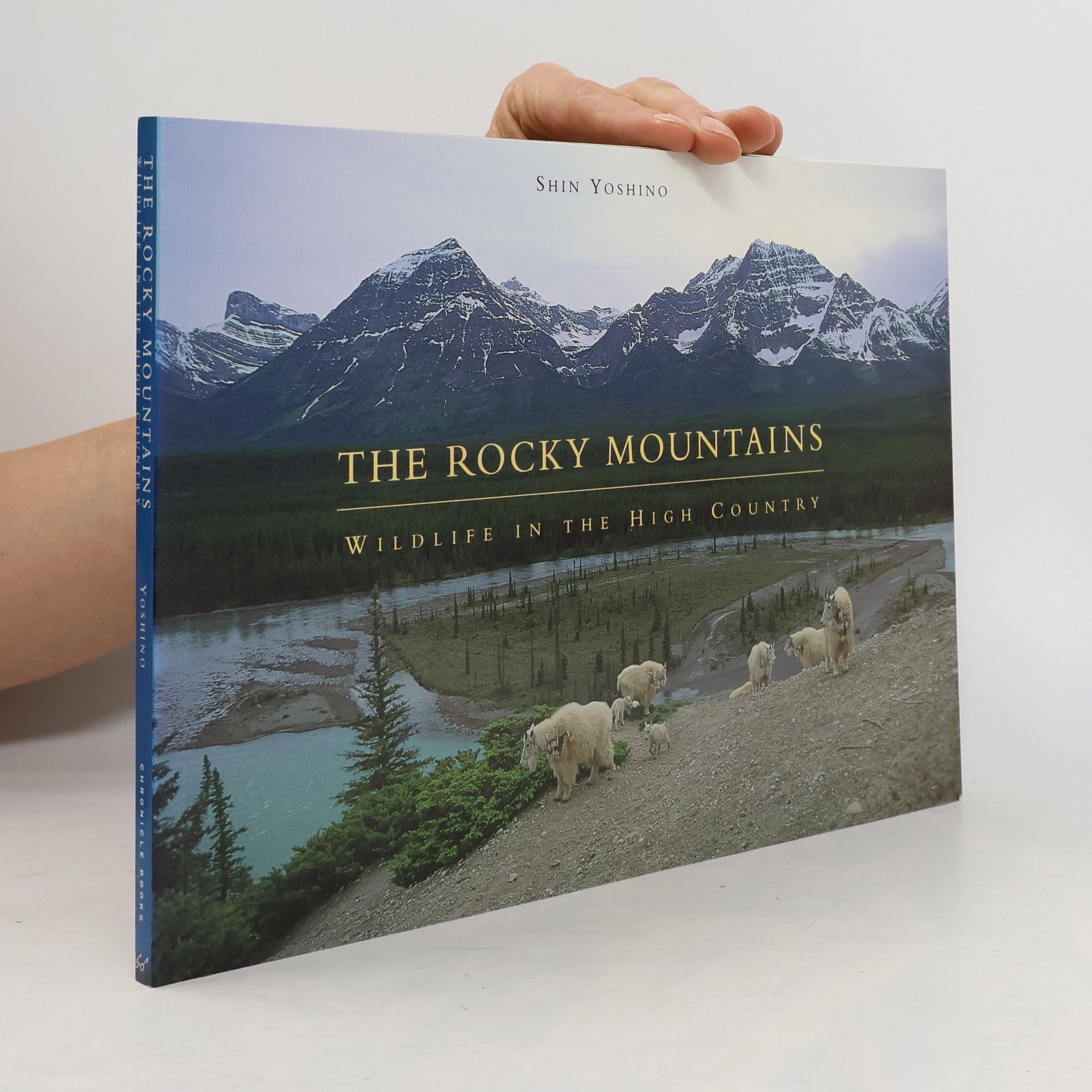 Shin Yoshino The Rocky Mountains