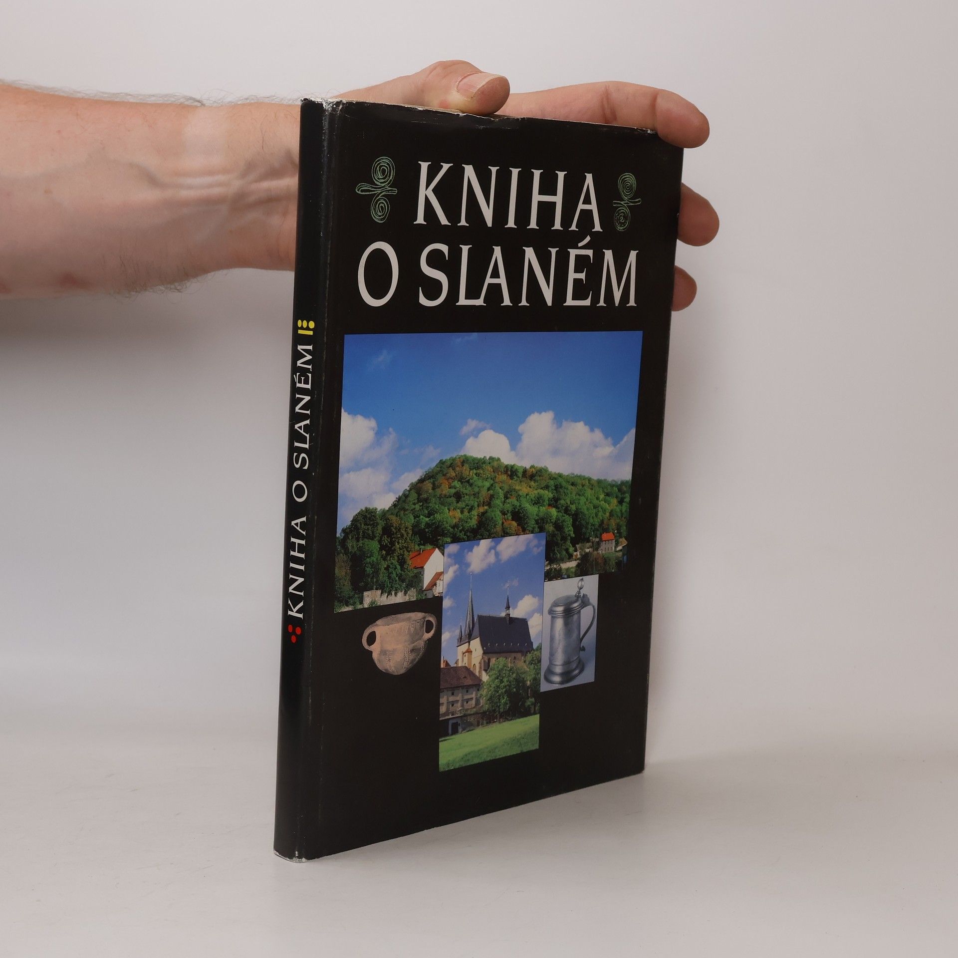 Pravoslav Vebr Kniha o Slaném