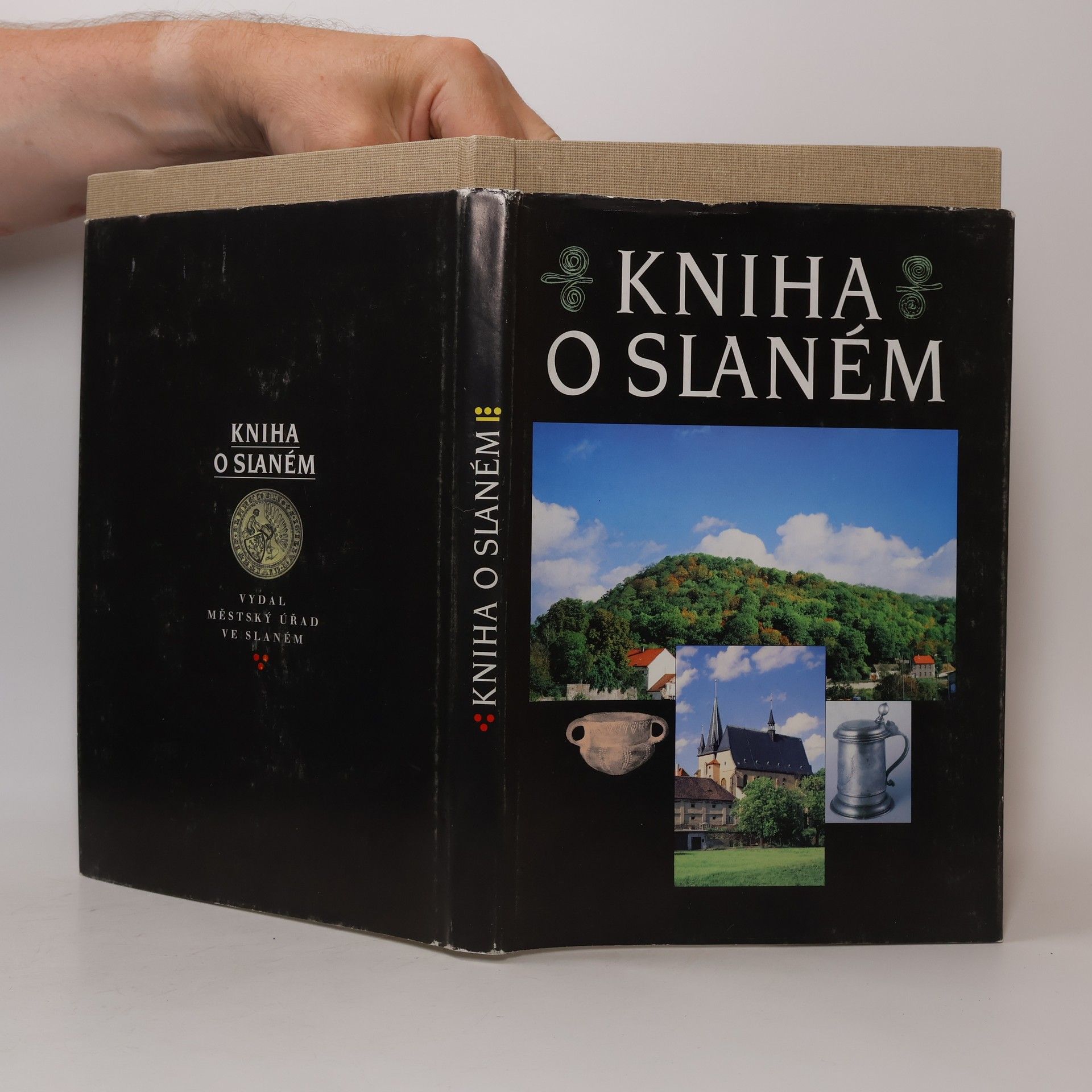 Zora Dvořáková Kniha o Slaném
