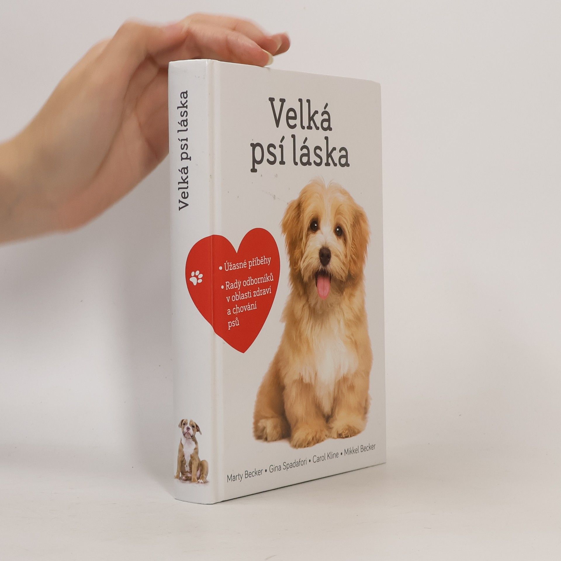 Marty Becker Velká psí láska: Příběhy, rady a úžasné fotografie psích bytostí