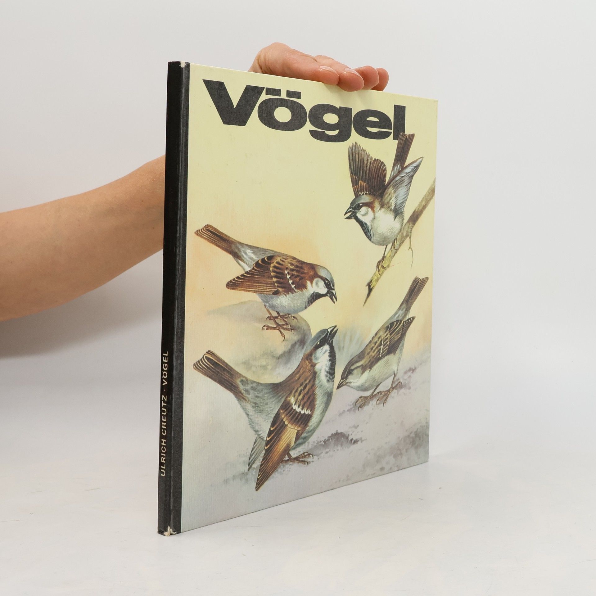Ulrich Greutz Vögel
