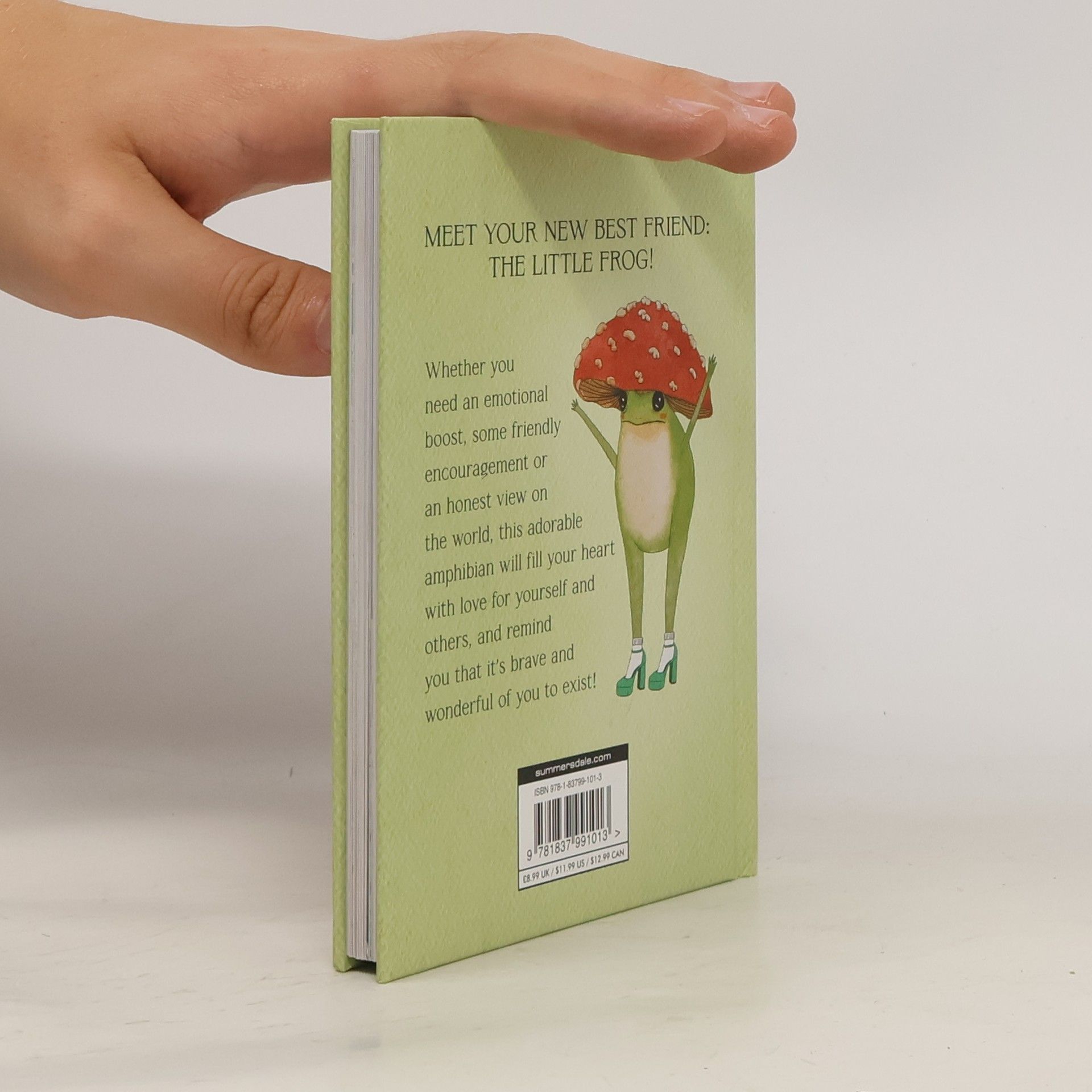 Maybell Eequay The Little Frog's Guide to Self-Care