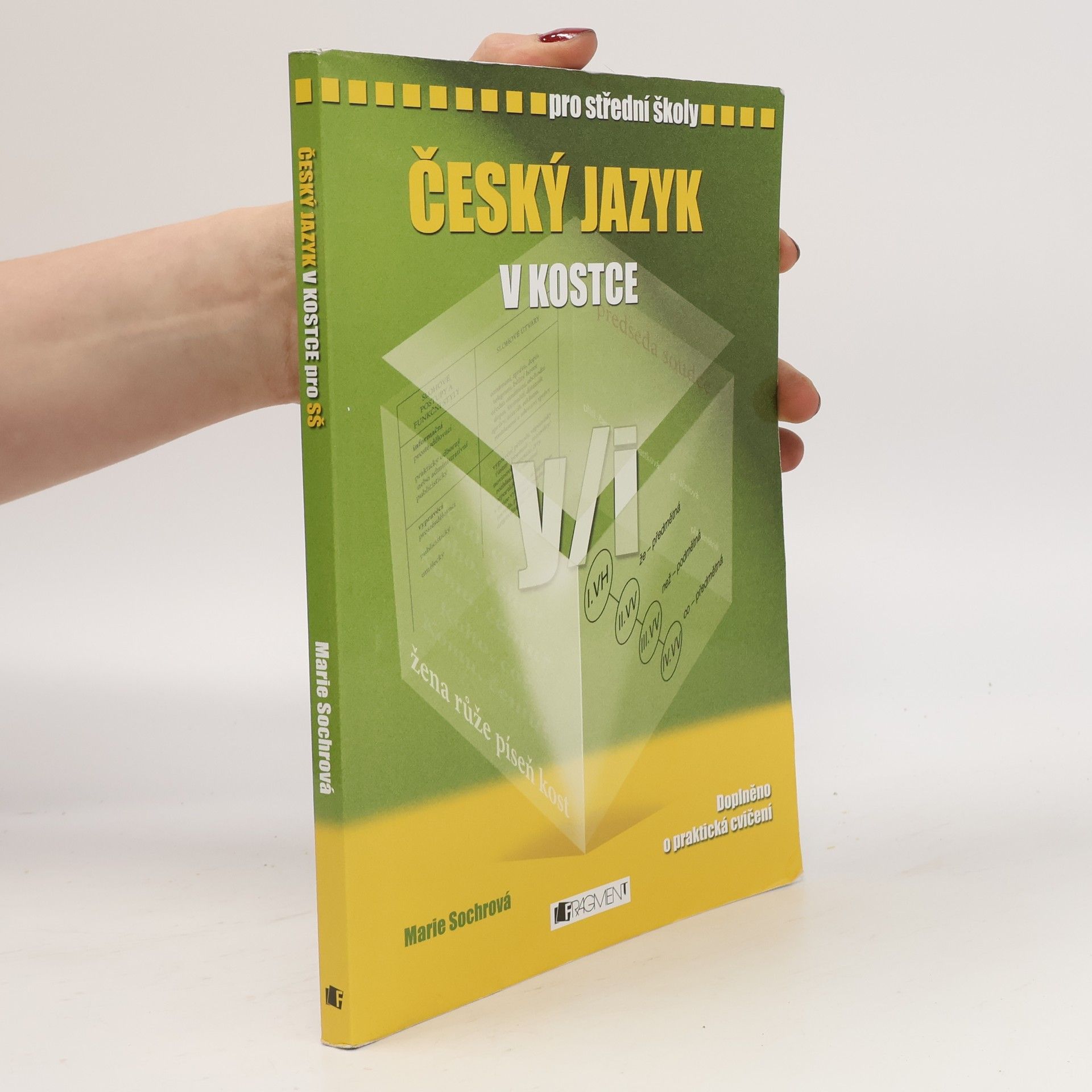 Marie Sochrová Český jazyk v kostce : pro střední školy