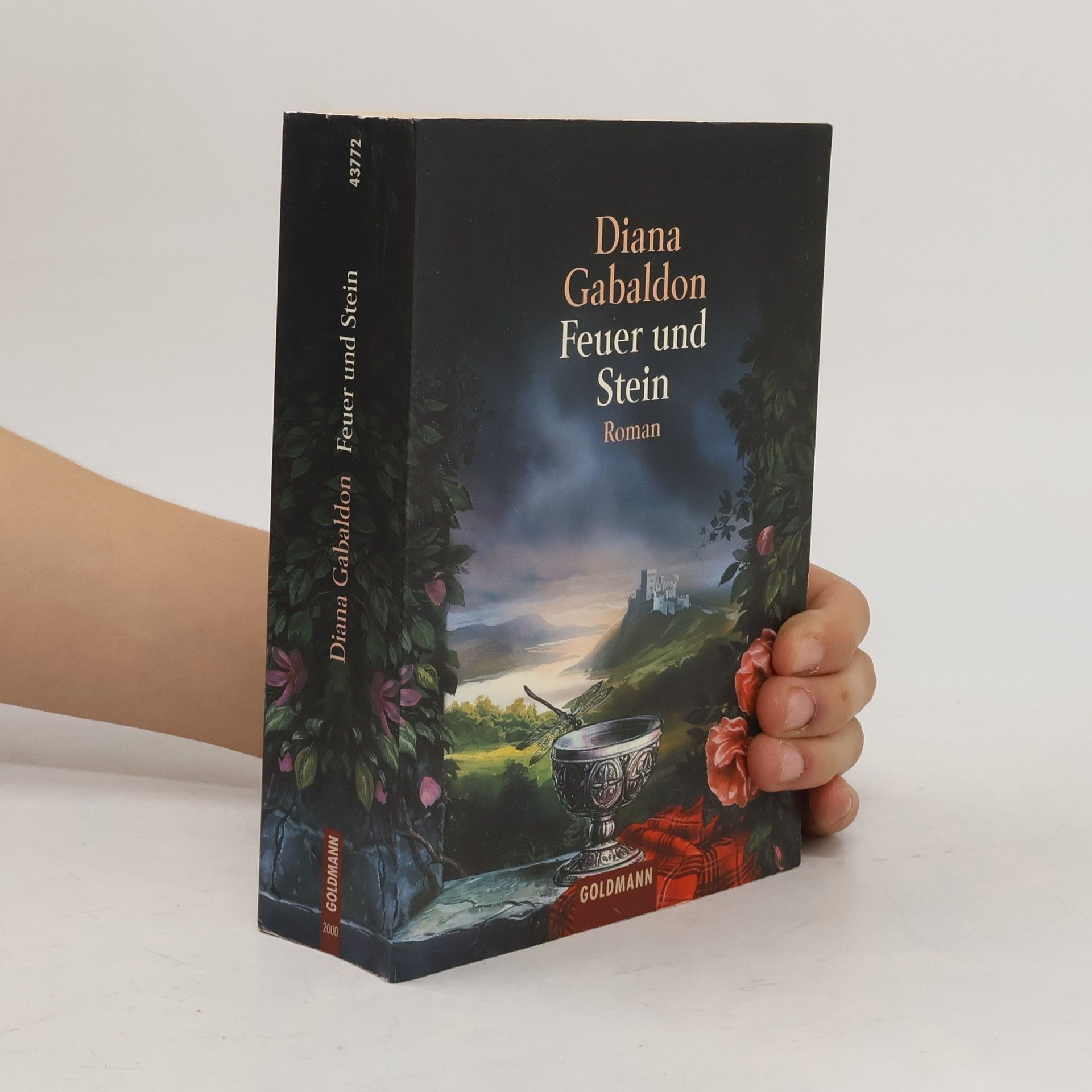 Diana Gabaldon Feuer und Stein