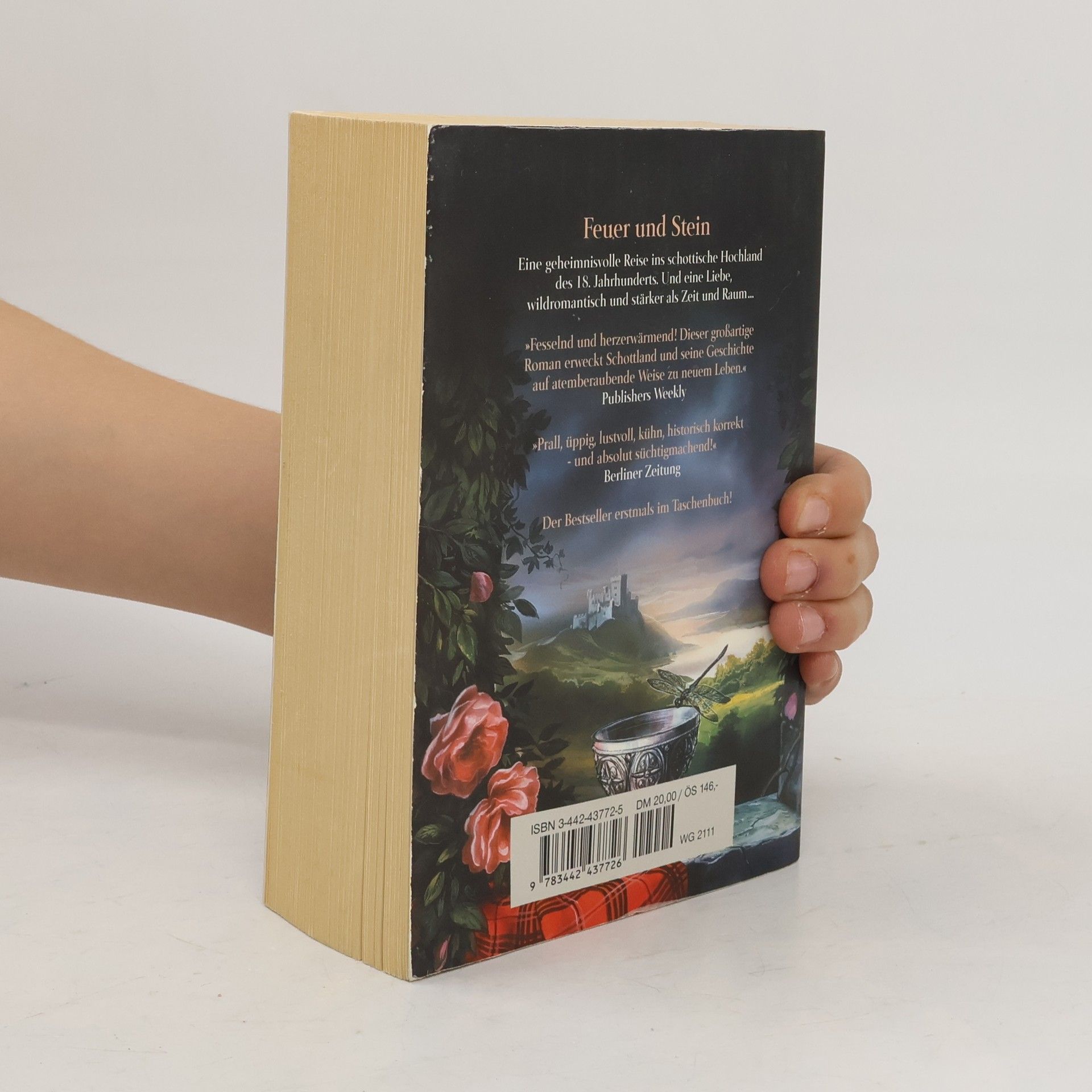 Diana Gabaldon Feuer und Stein
