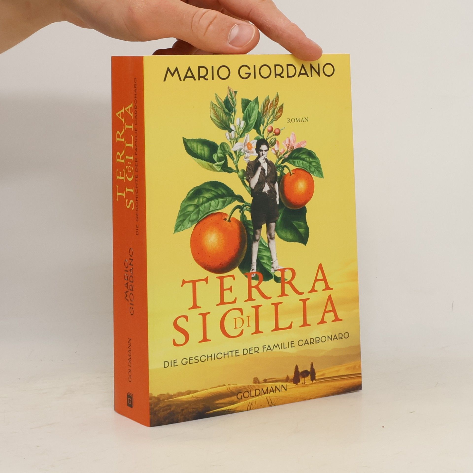 Mario Giordano Terra di Sicilia. Die Geschichte der Familie Carbonaro