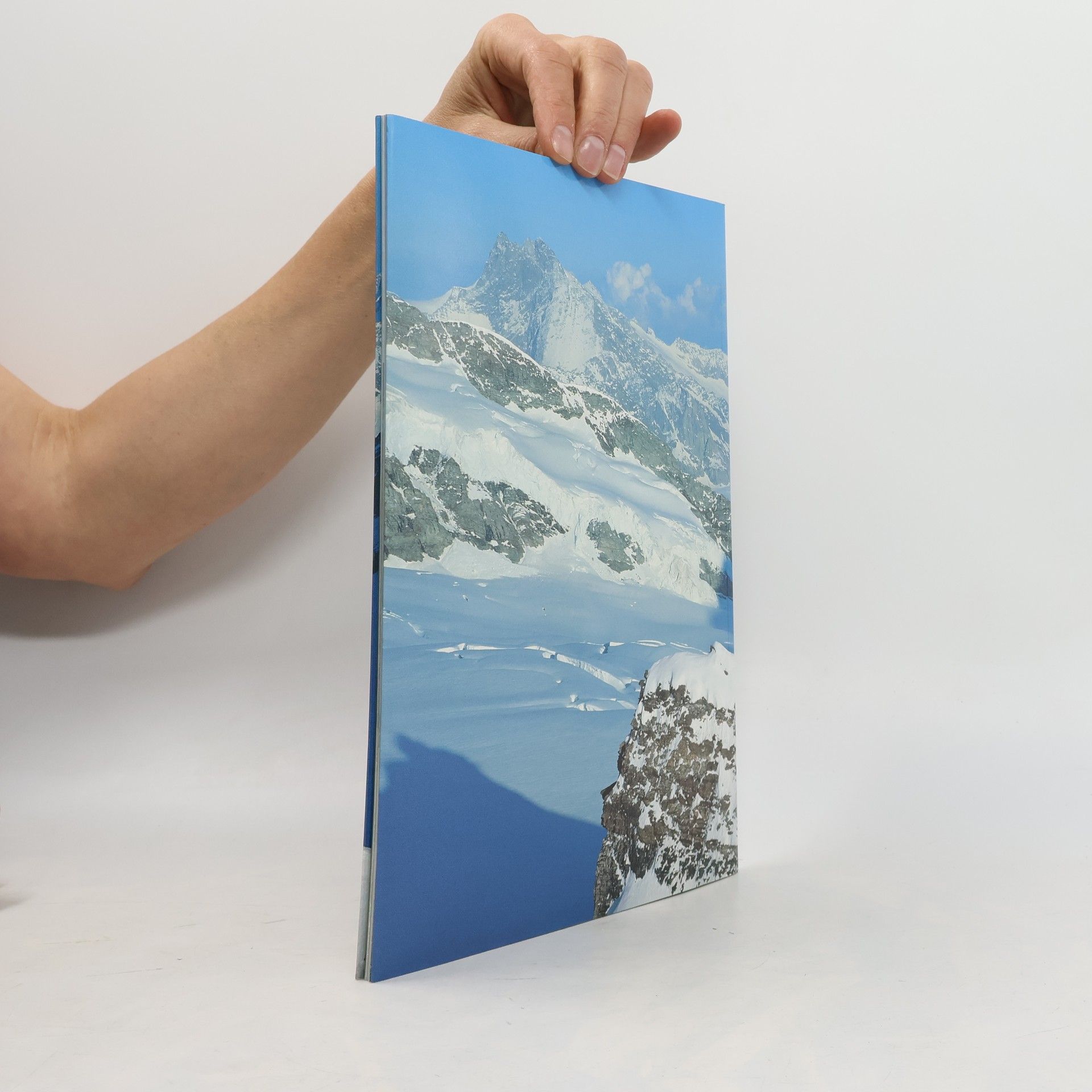 Autorenkollektiv Jungfrau