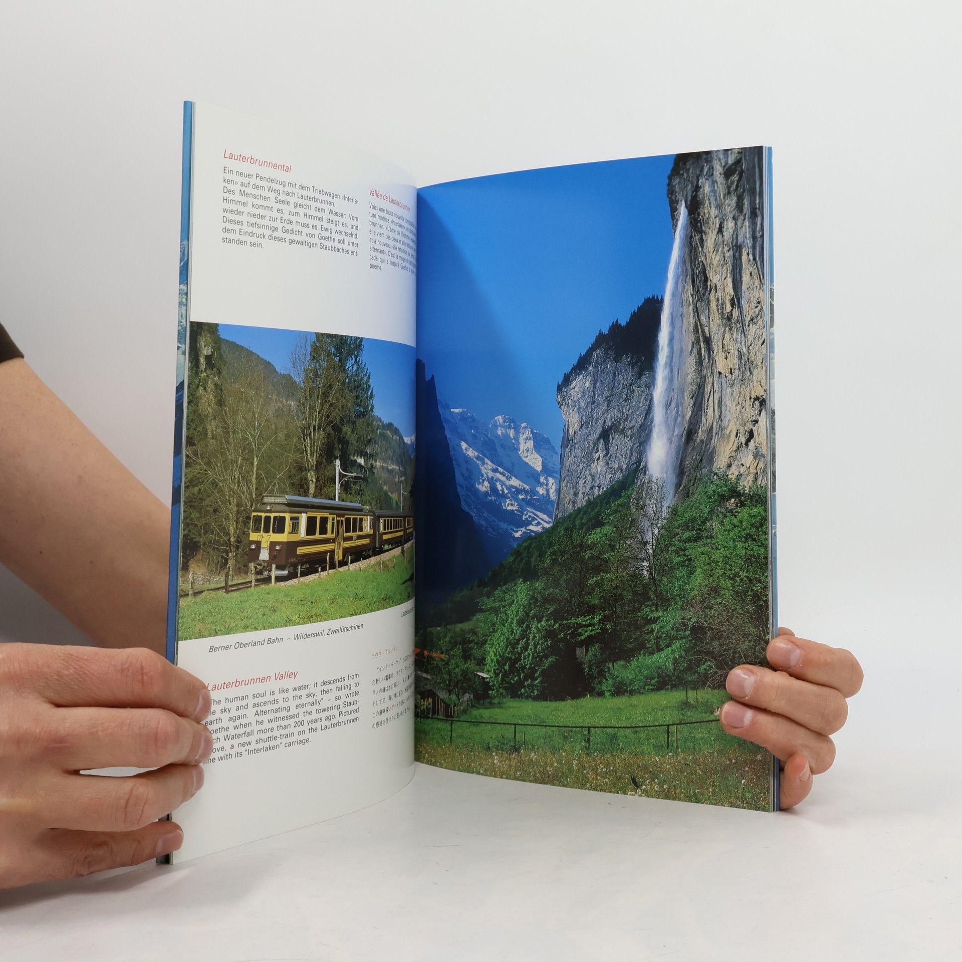 Autorenkollektiv Jungfrau