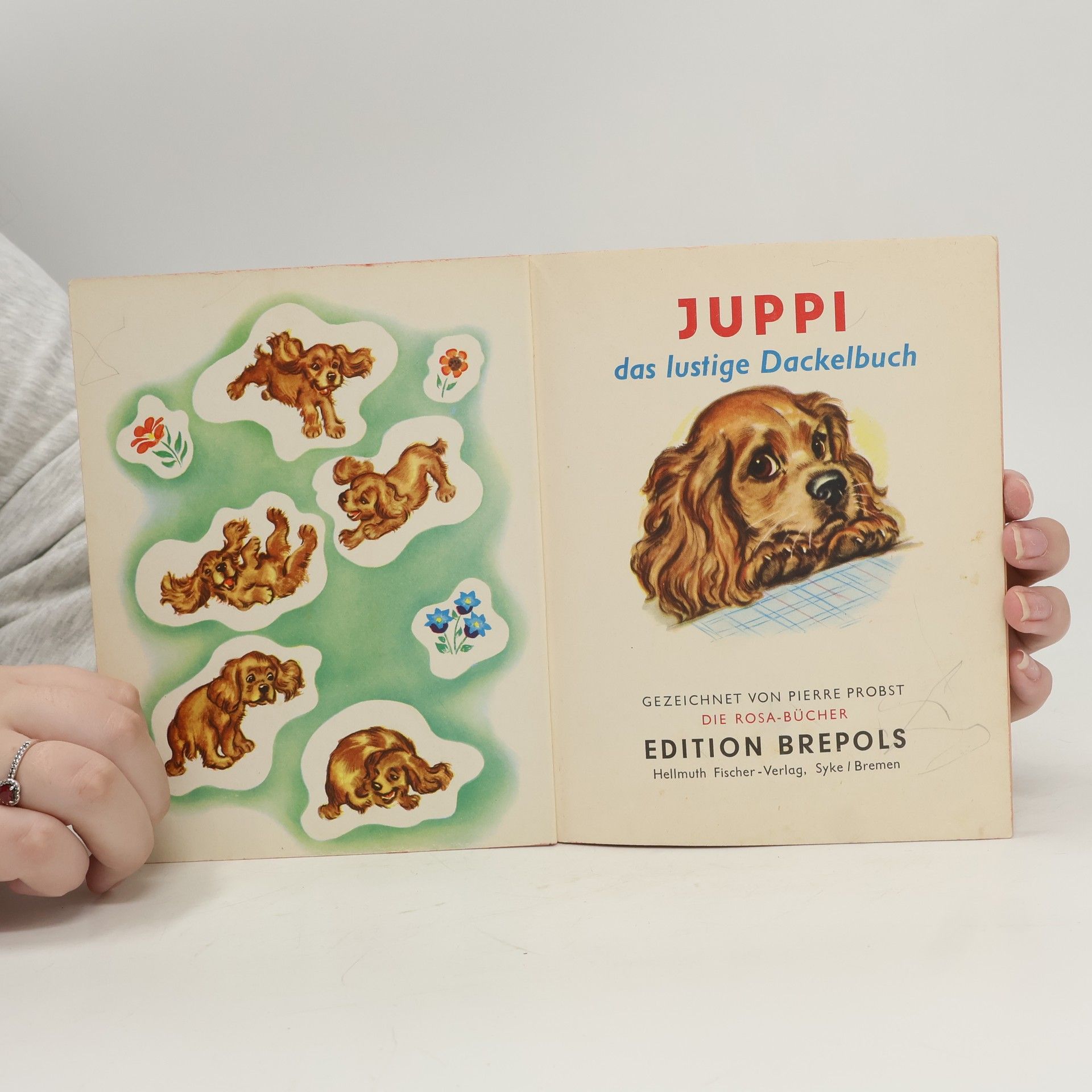Autorenkollektiv Juppi das lustige Dackelbuch